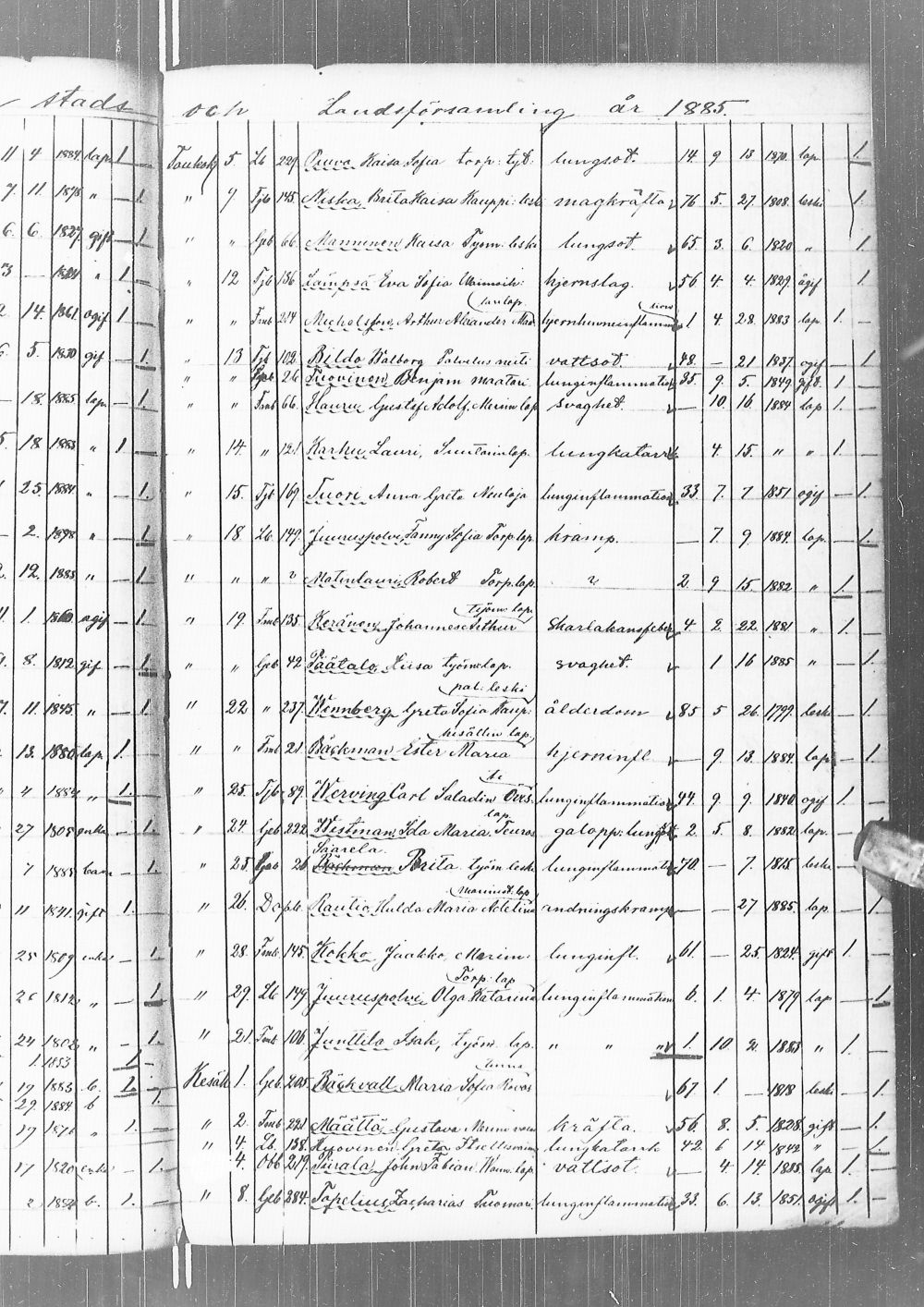 [ kuvat/246.jpg ]