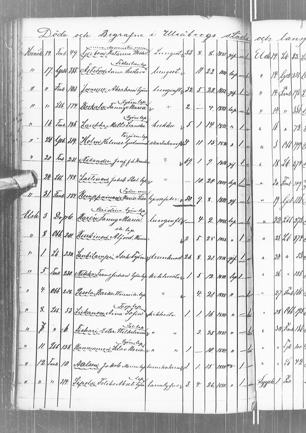 [ kuvat/249.jpg ]