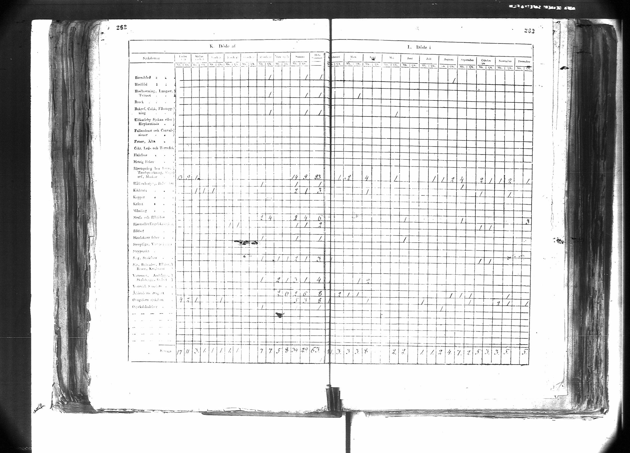 [ kuvat/173.jpg ]