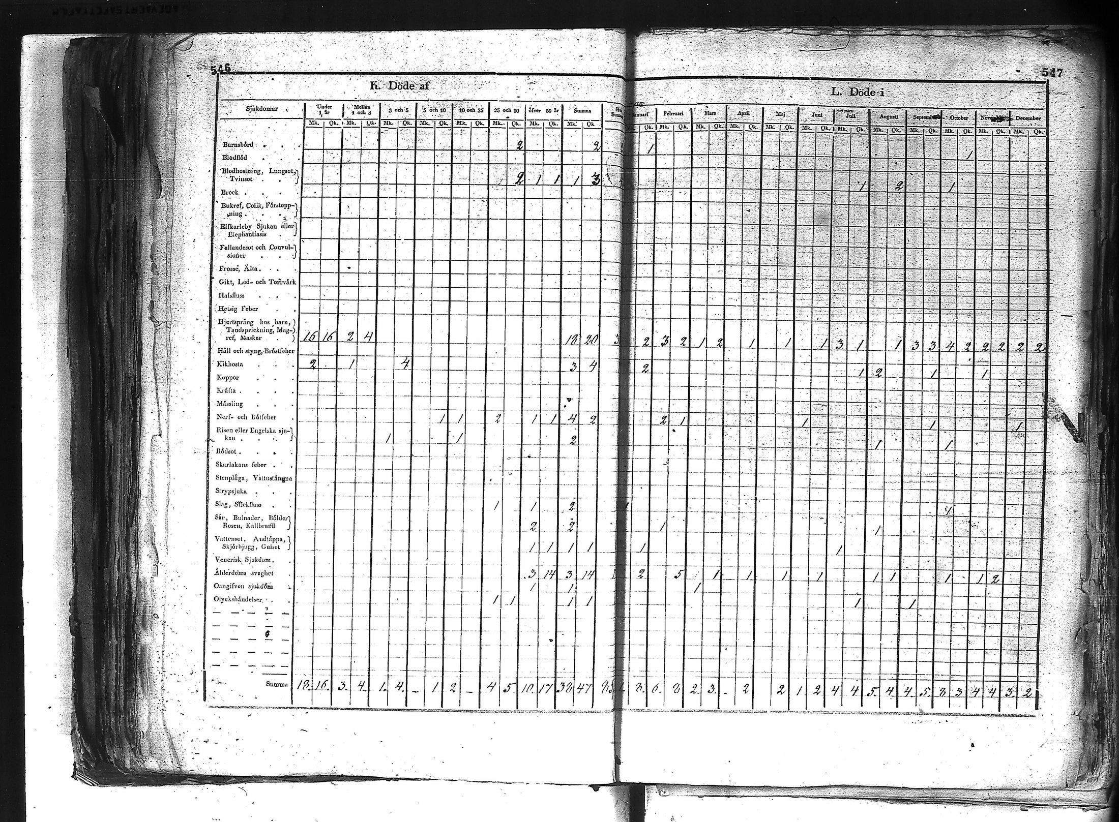 [ kuvat/315.jpg ]