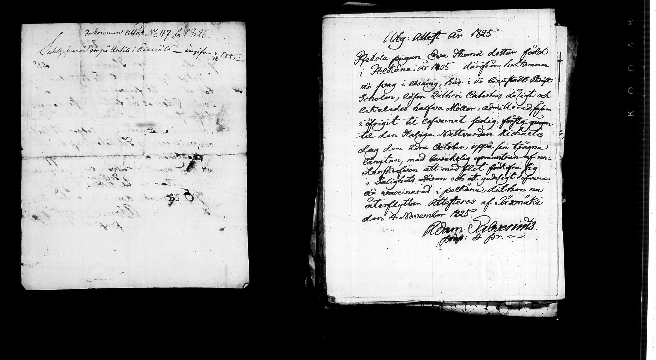 [ kuvat/124.jpg ]