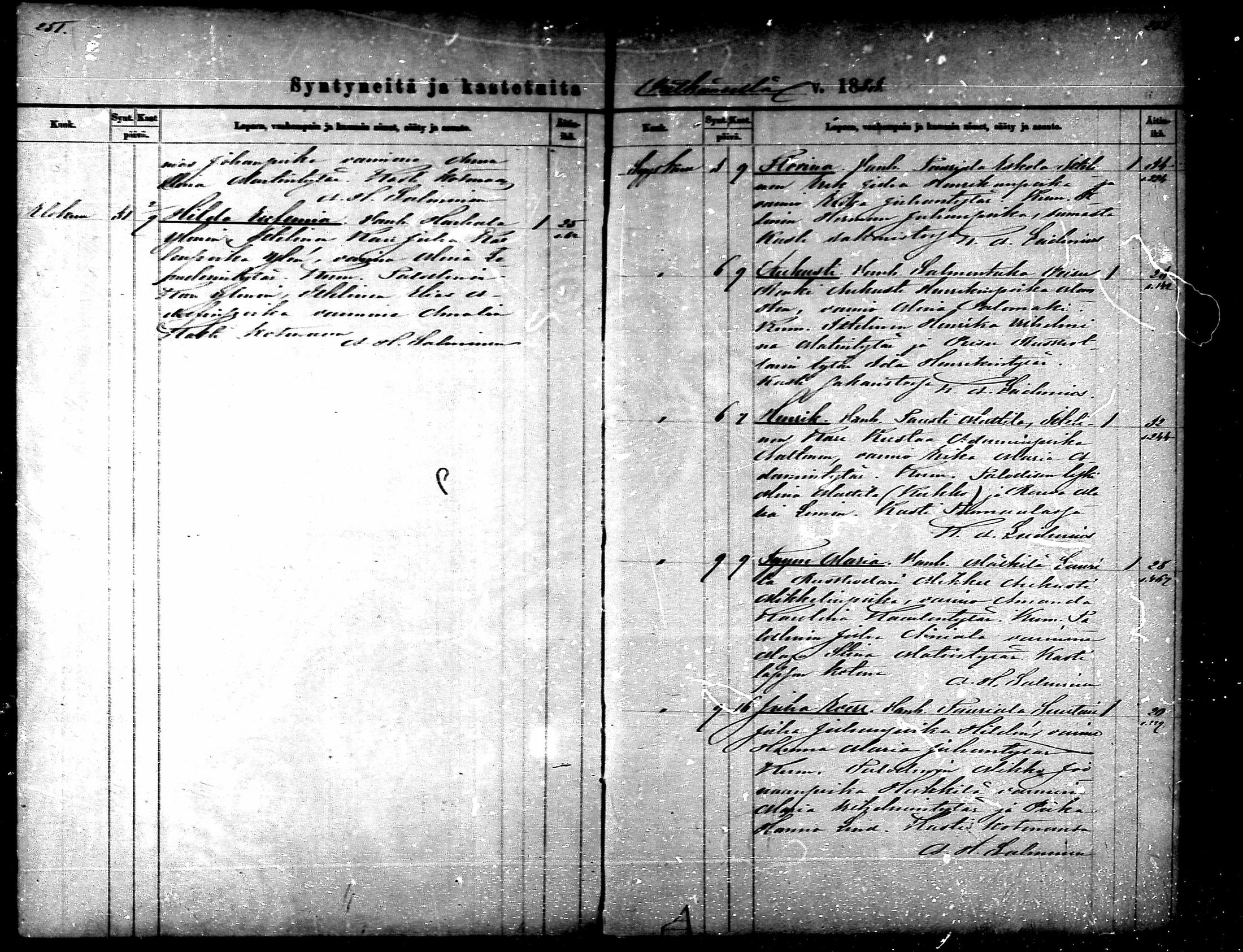 [ kuvat/125.jpg ]