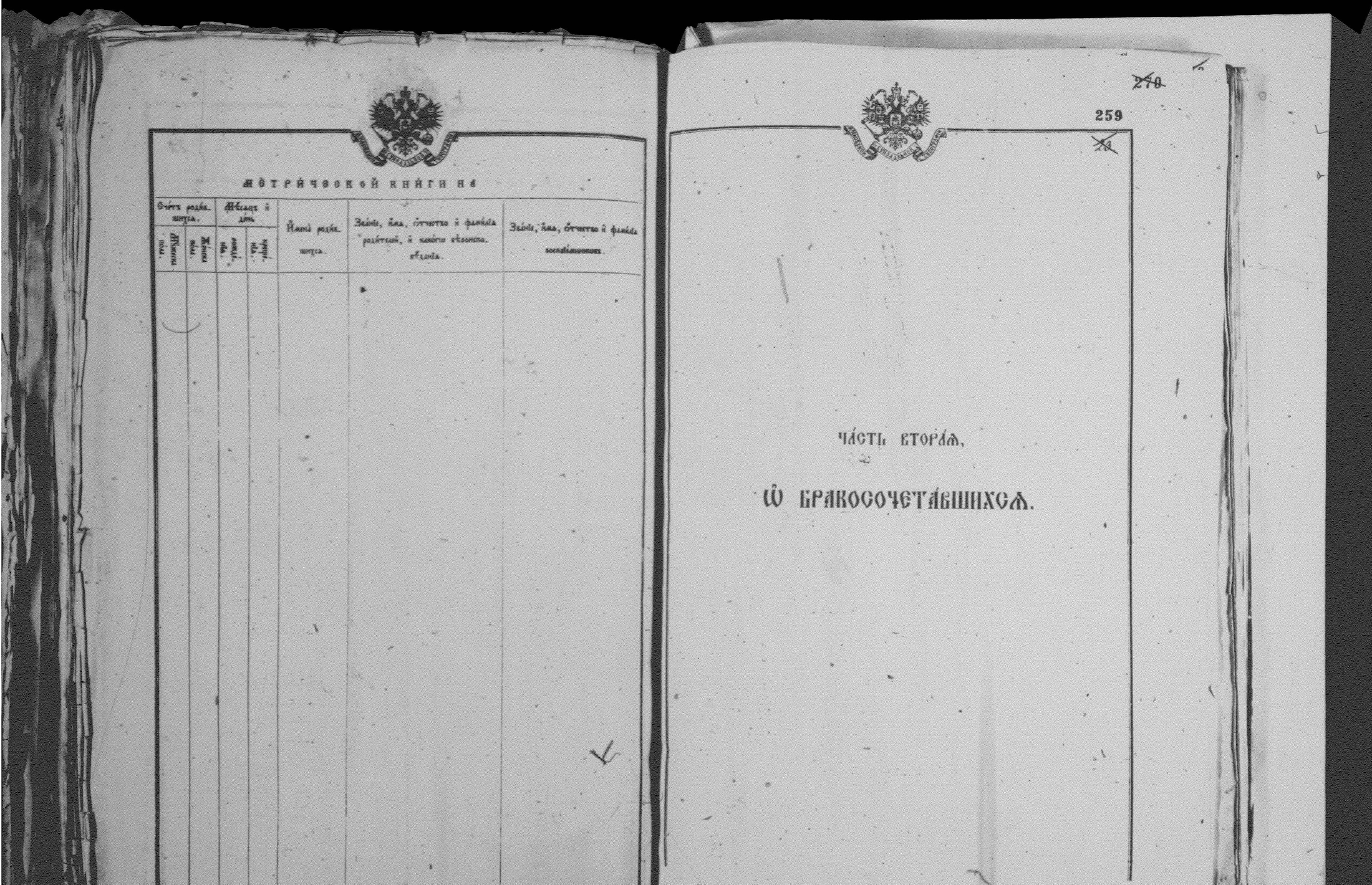 [ kuvat/259.jpg ]