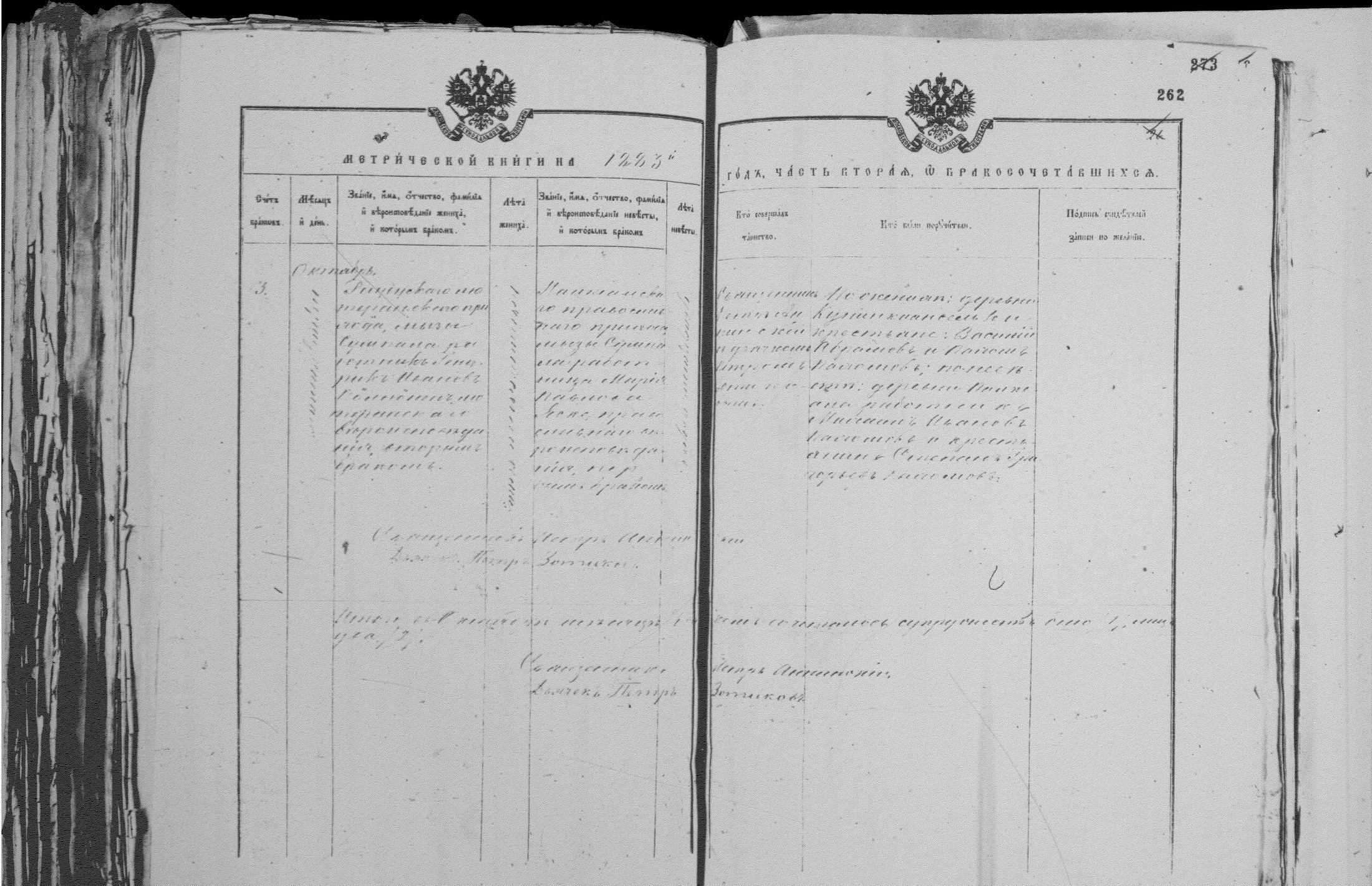[ kuvat/262.jpg ]