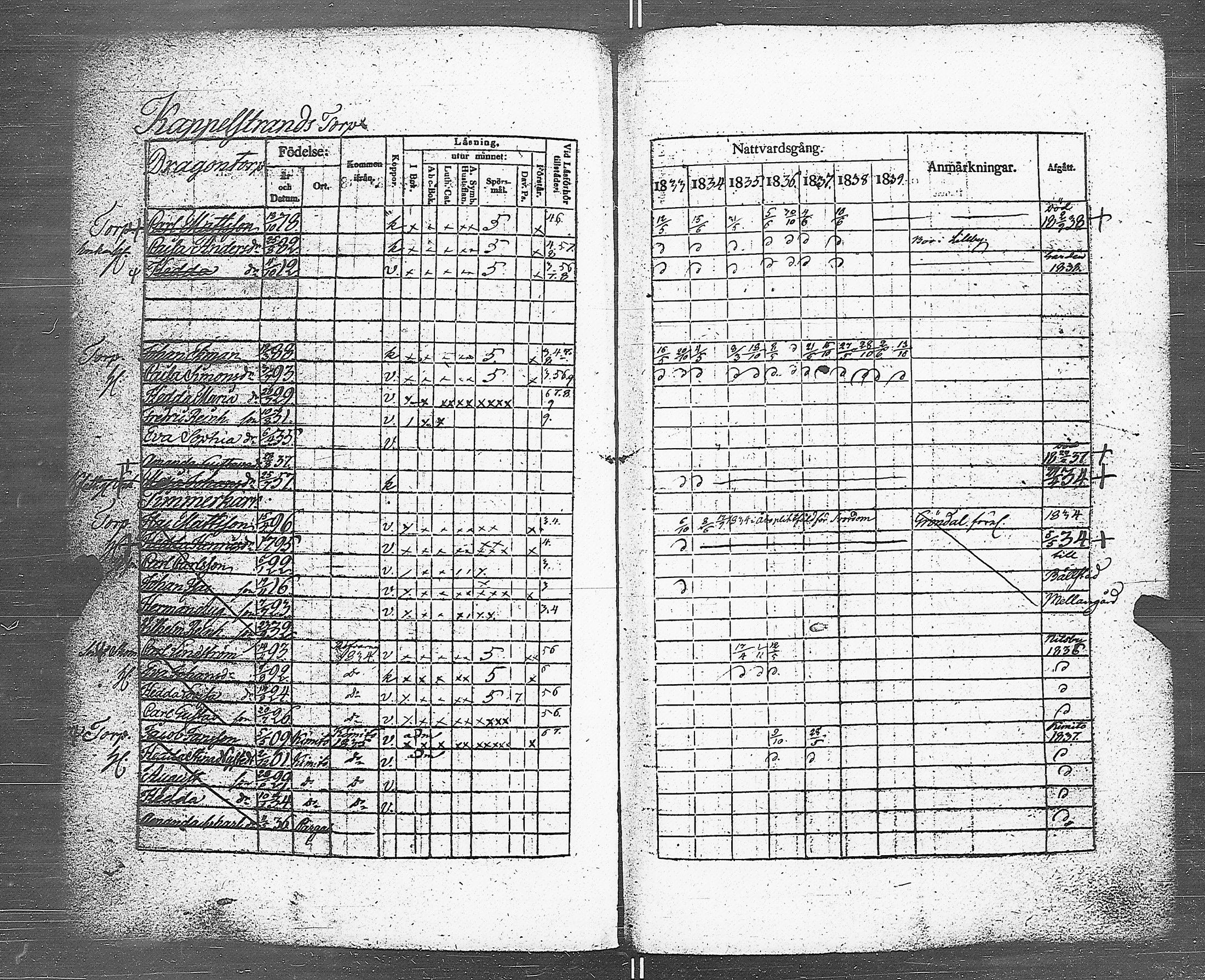 [ kuvat/116.jpg ]