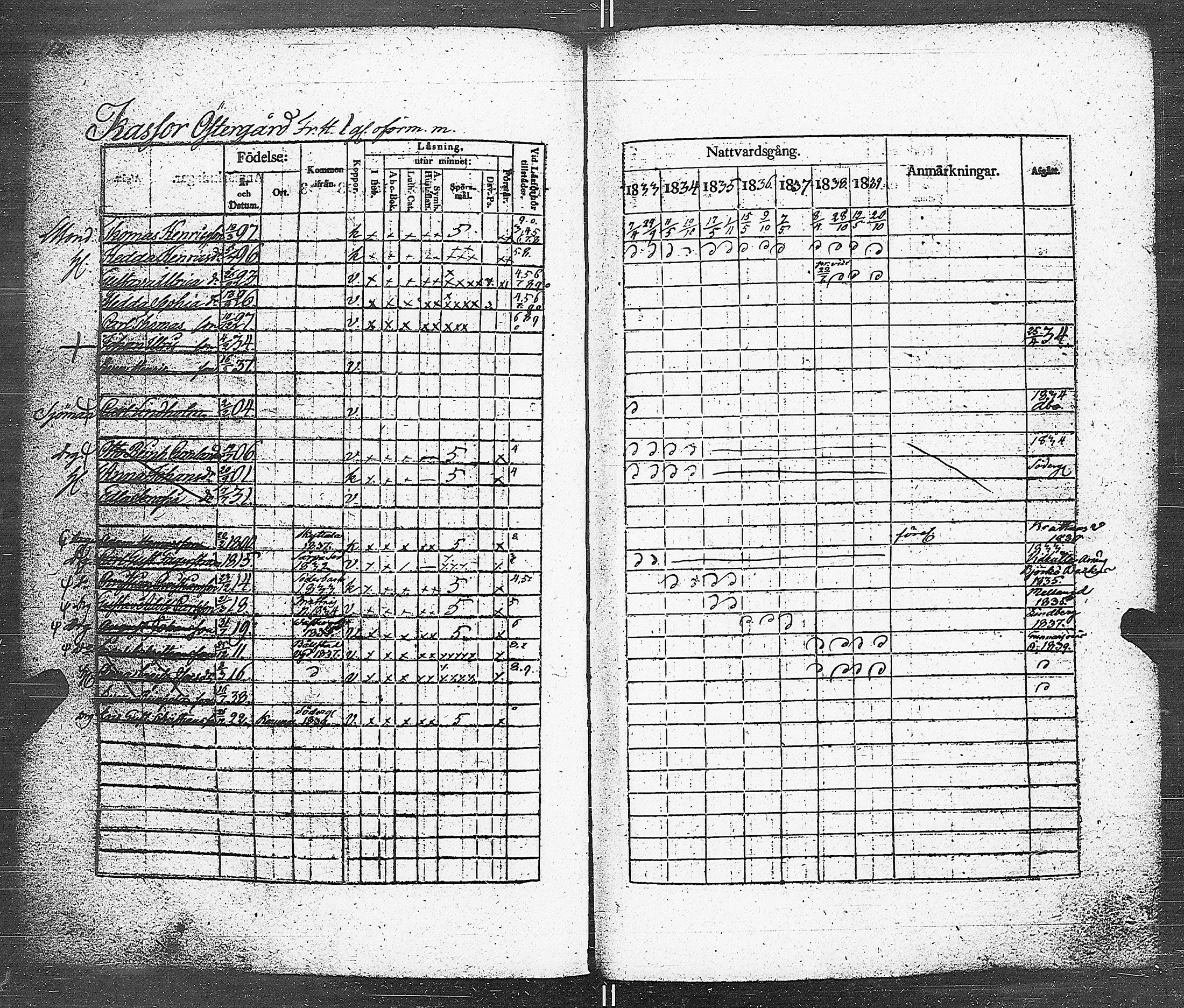 [ kuvat/117.jpg ]