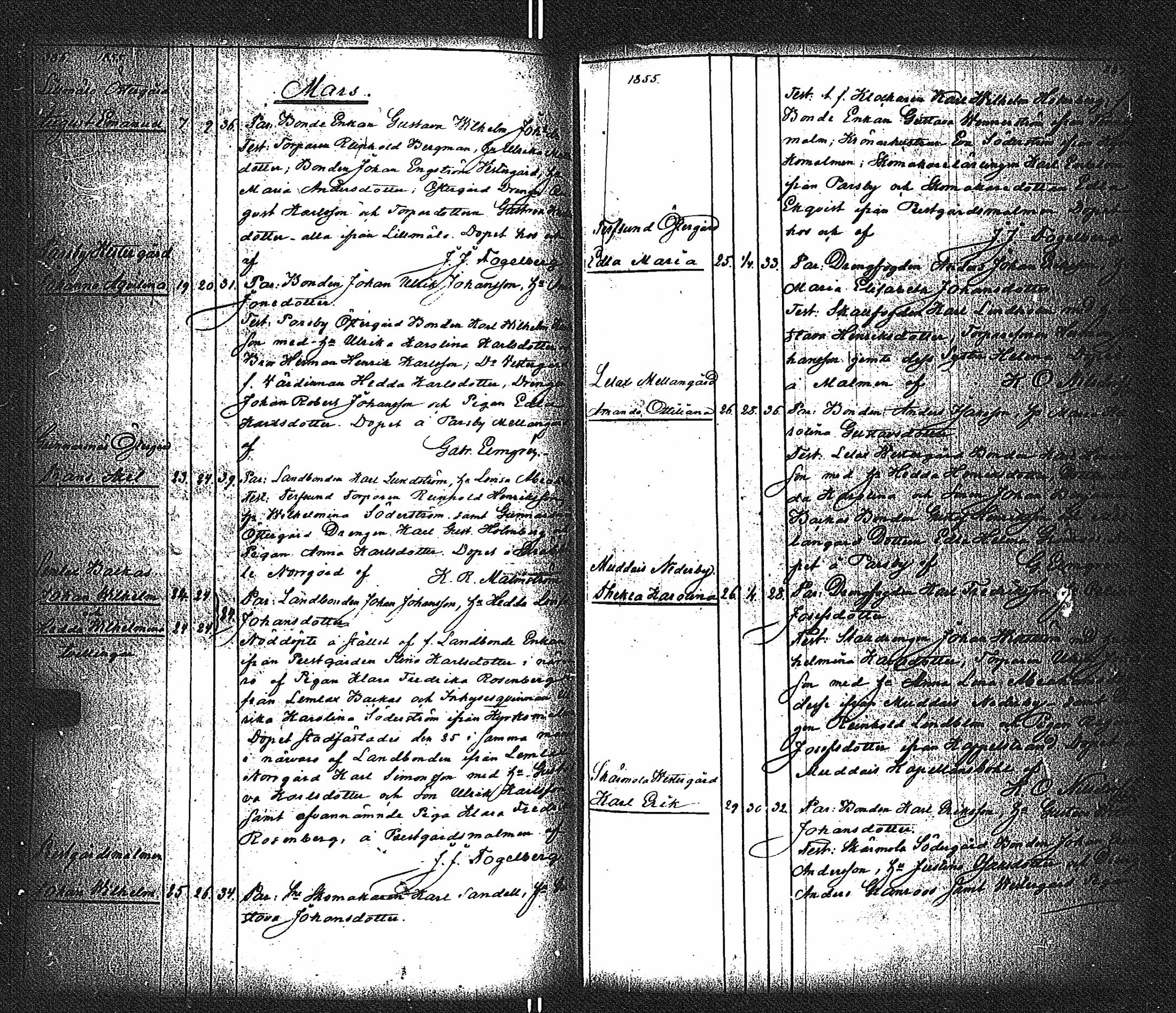 [ kuvat/197.jpg ]