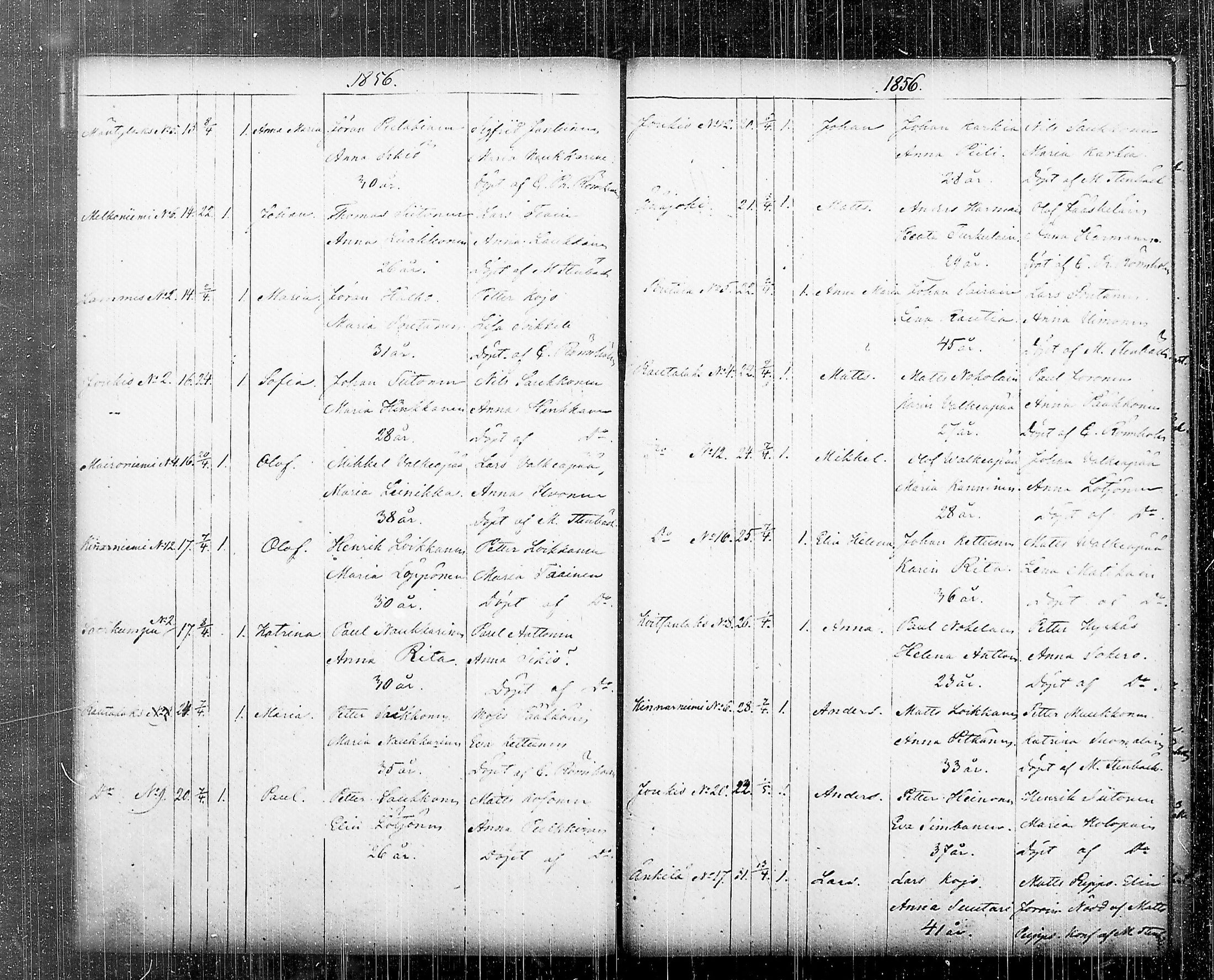 [ kuvat/206.jpg ]