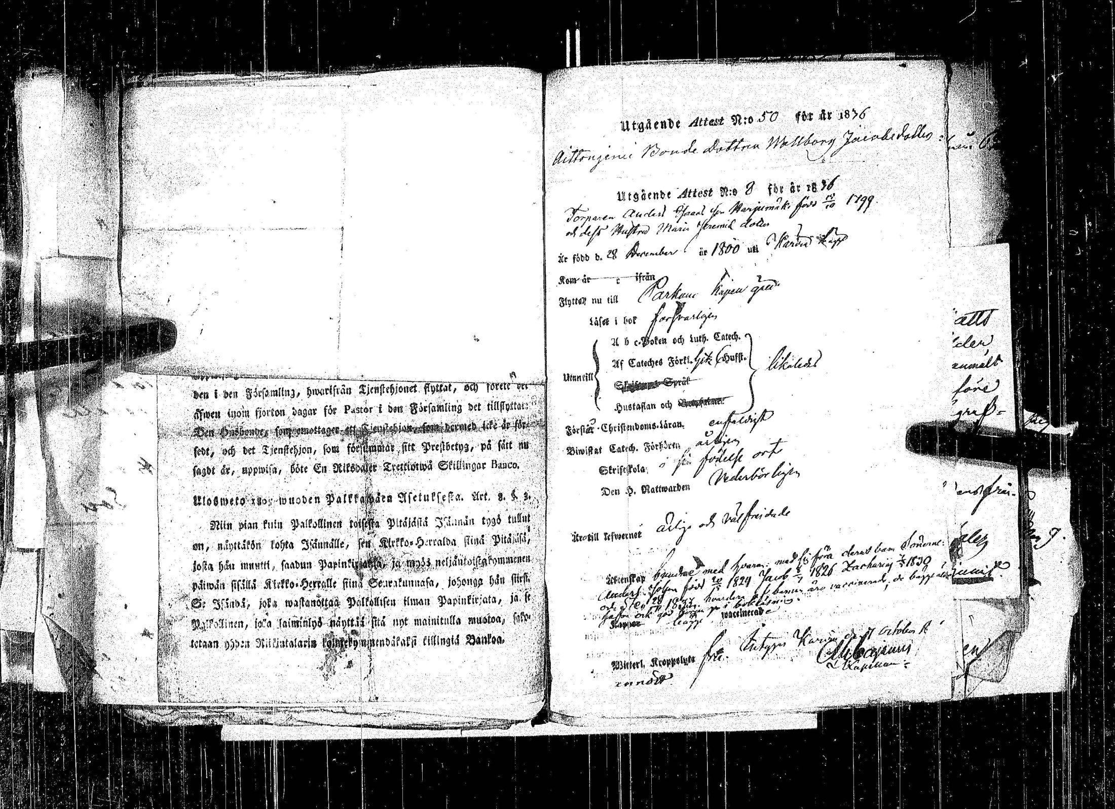 [ kuvat/136.jpg ]