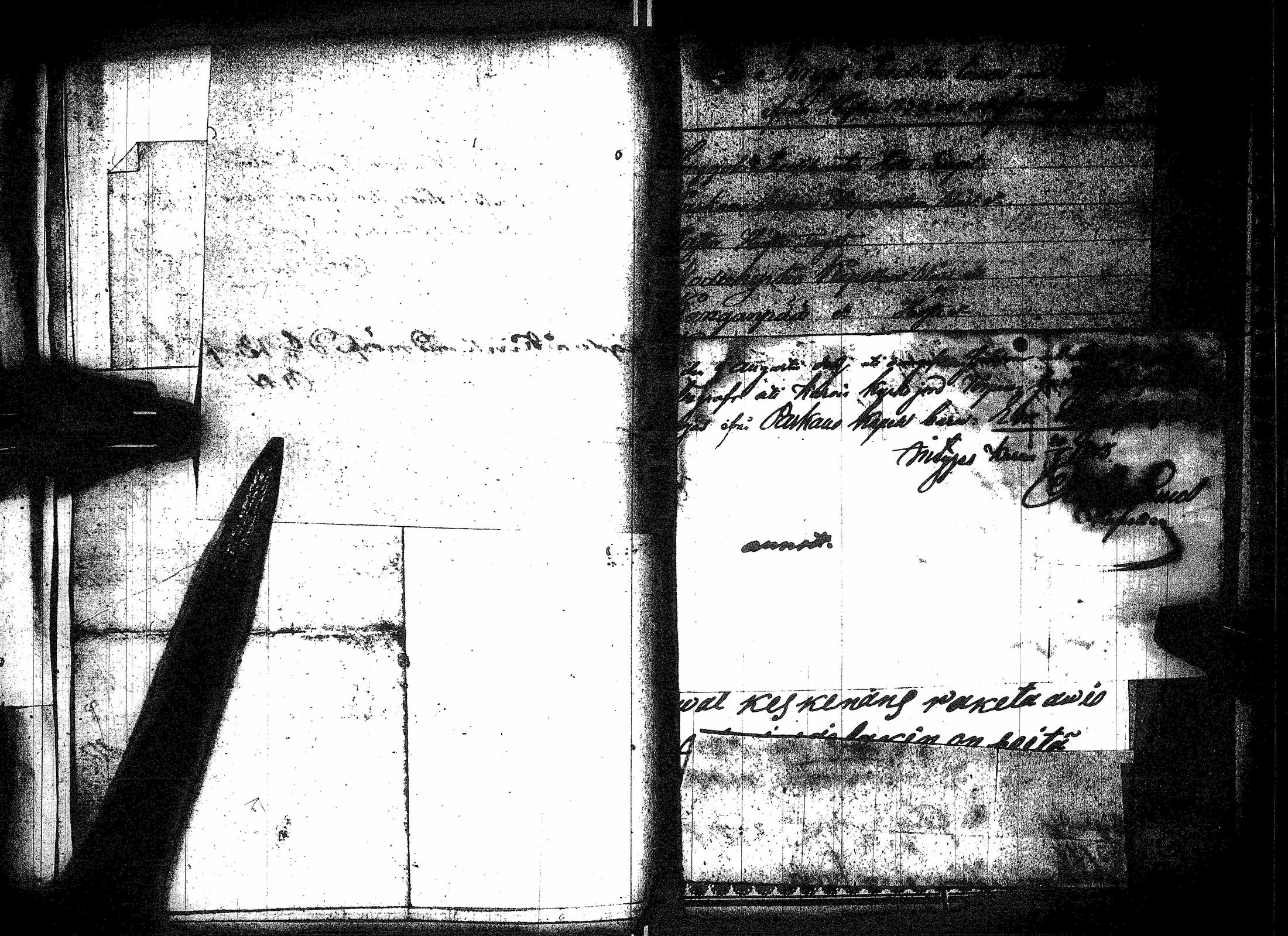 [ kuvat/452.jpg ]