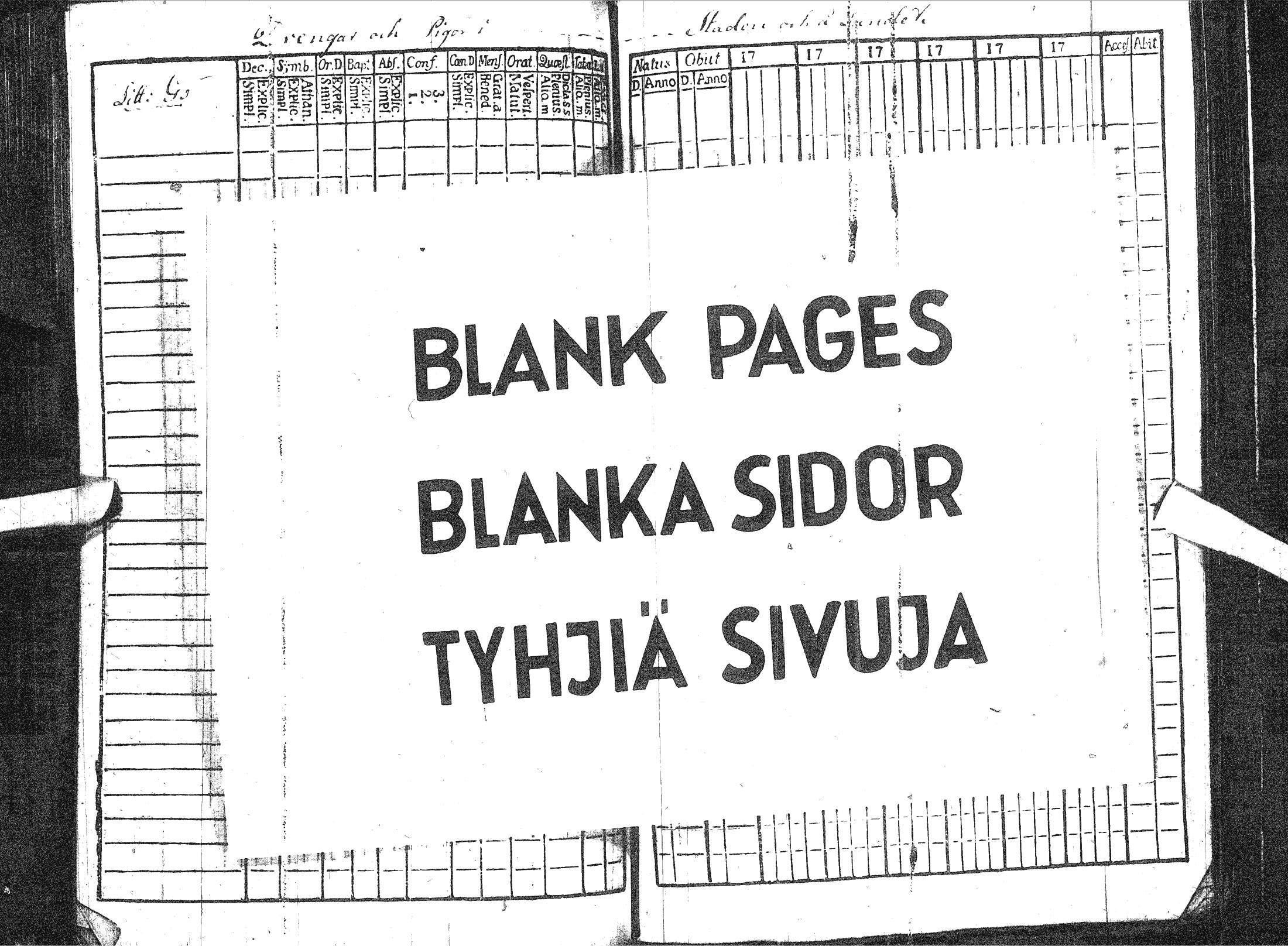 [ kuvat/125.jpg ]