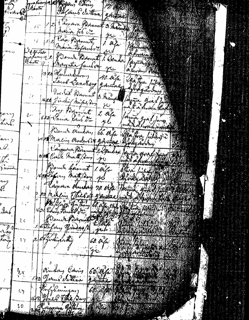 [ kuvat/142.jpg ]