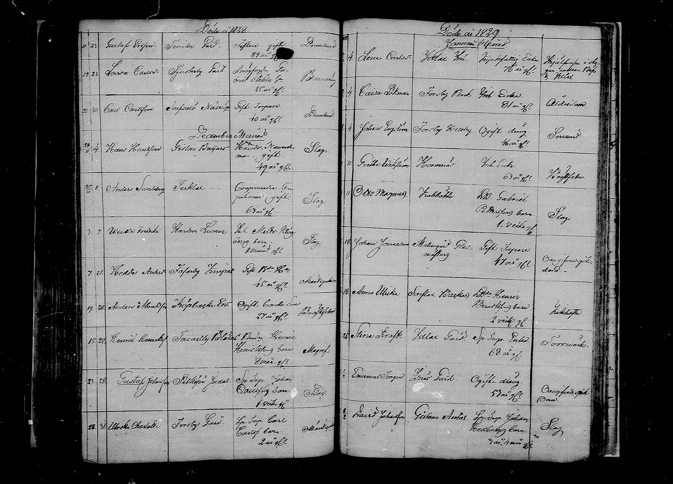 [ kuvat/178.jpg ]