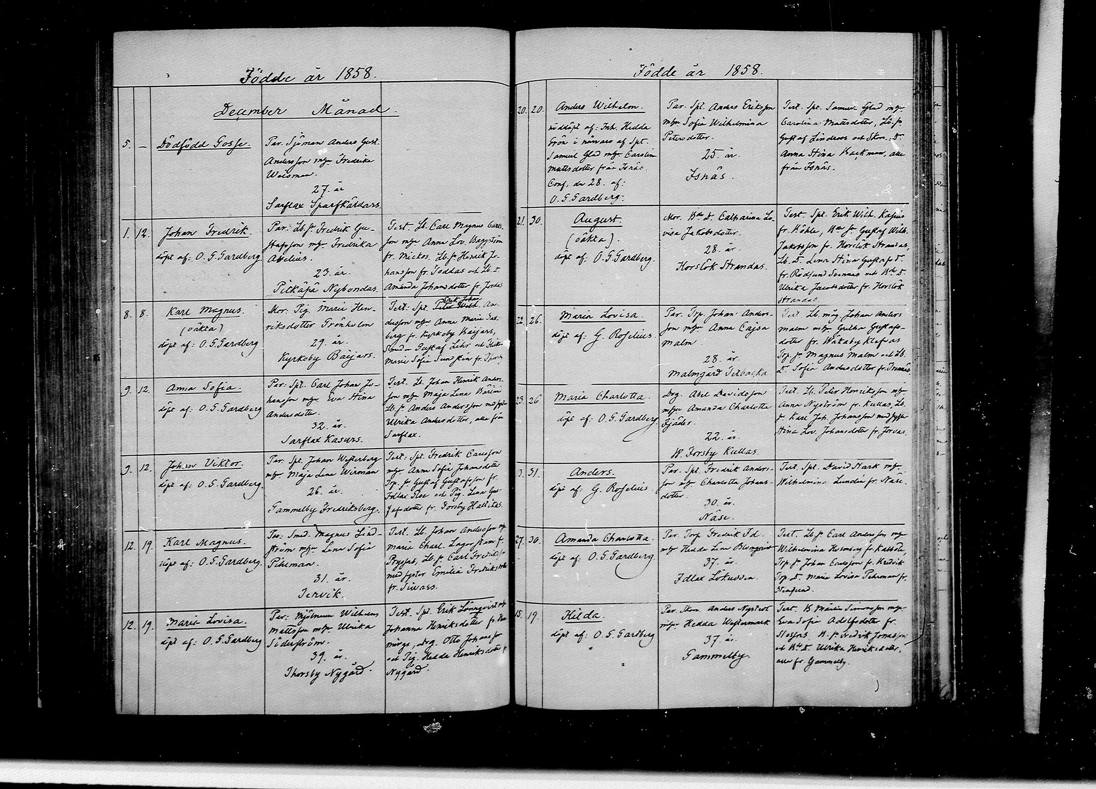 [ kuvat/177.jpg ]