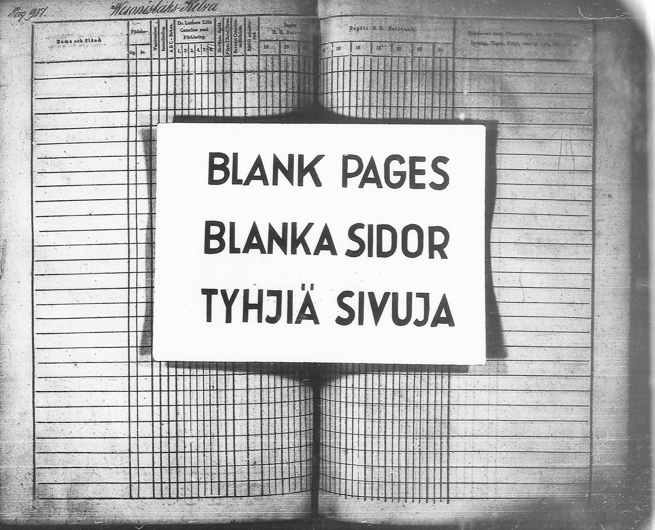 [ kuvat/196.jpg ]