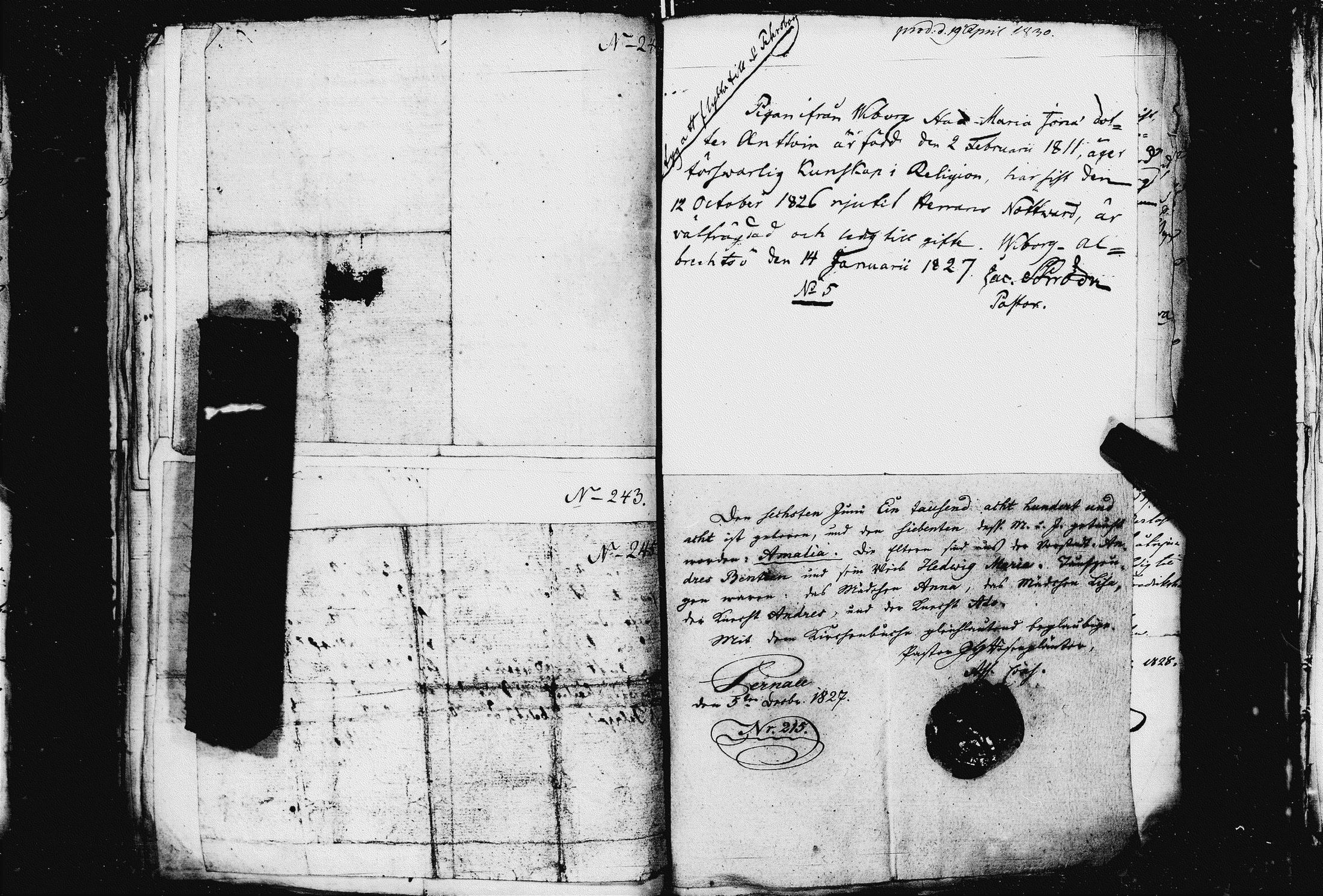 [ kuvat/194.jpg ]