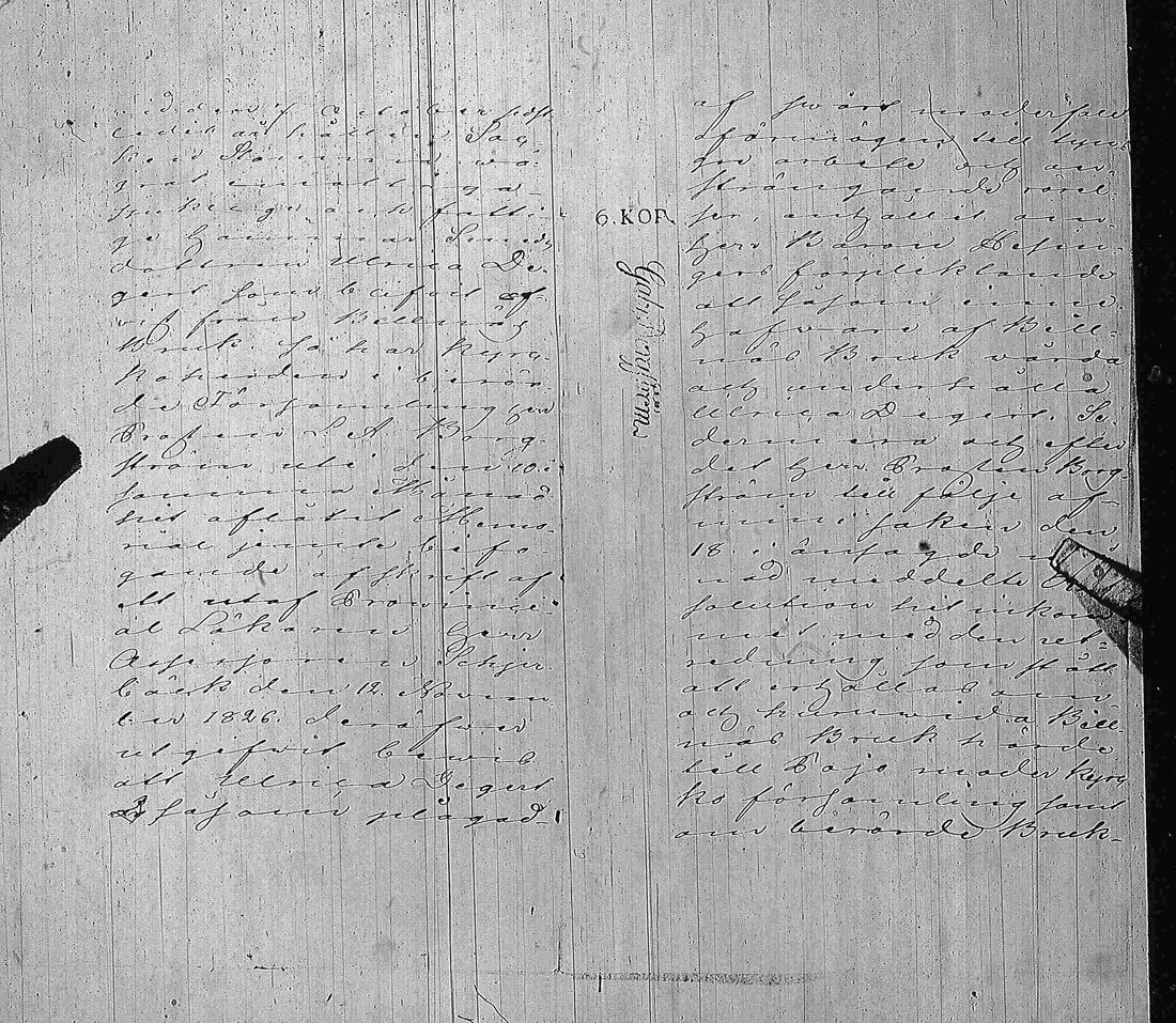 [ kuvat/424.jpg ]