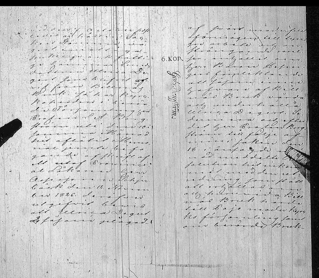 [ kuvat/425.jpg ]