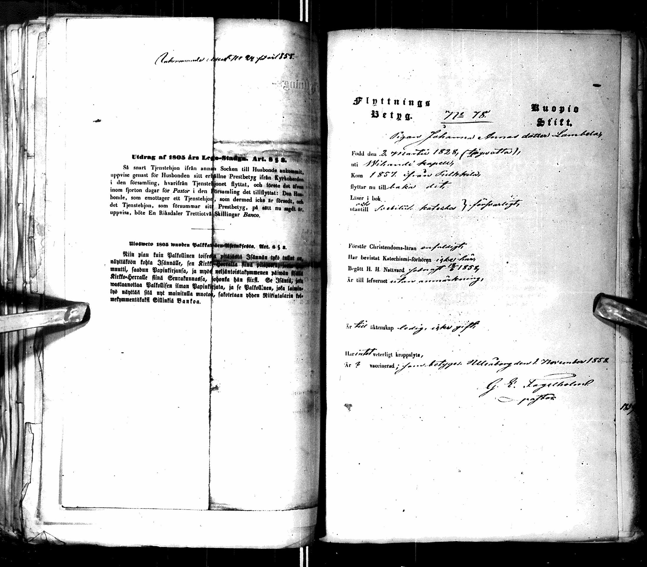 [ kuvat/381.jpg ]