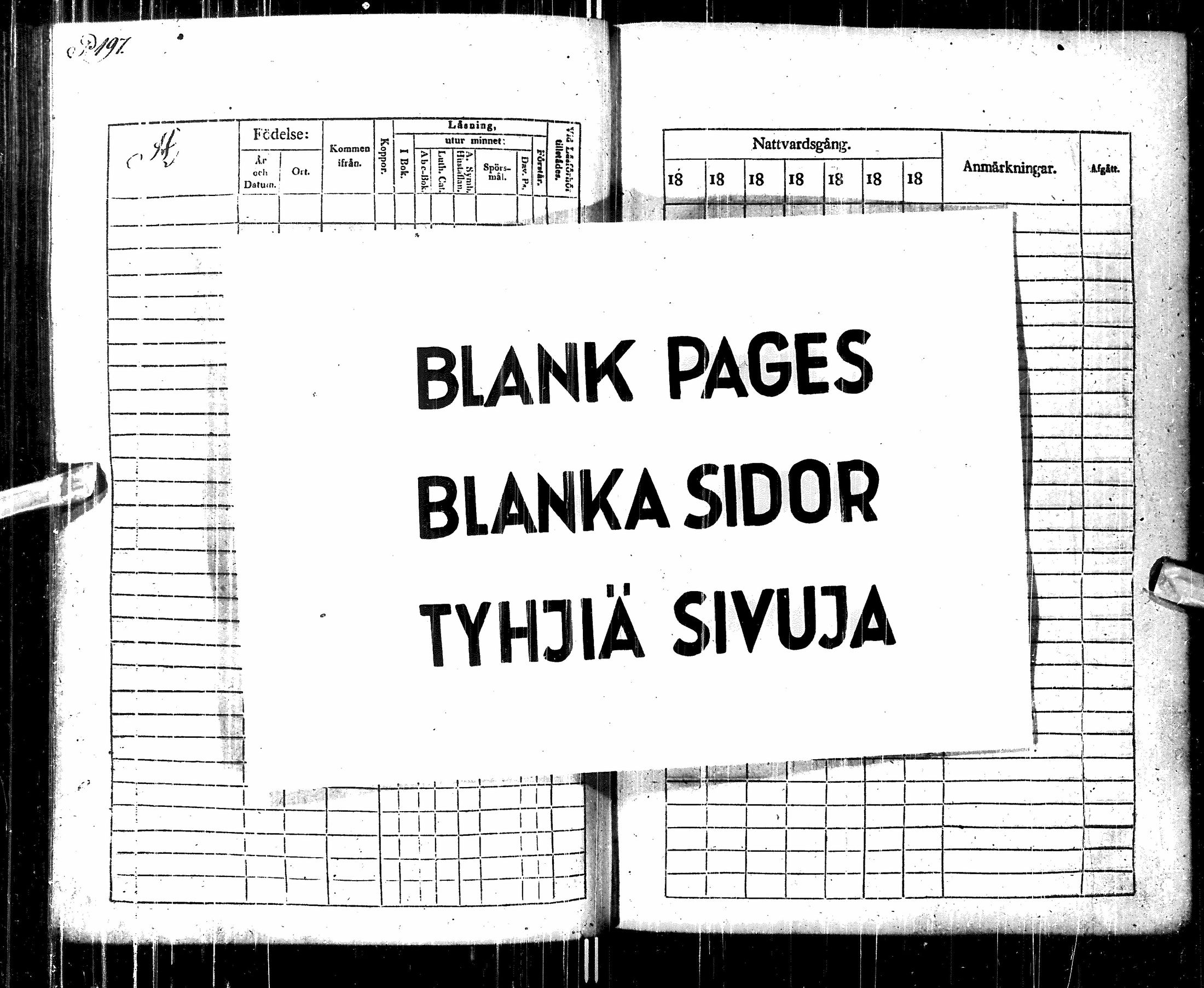 [ kuvat/196.jpg ]