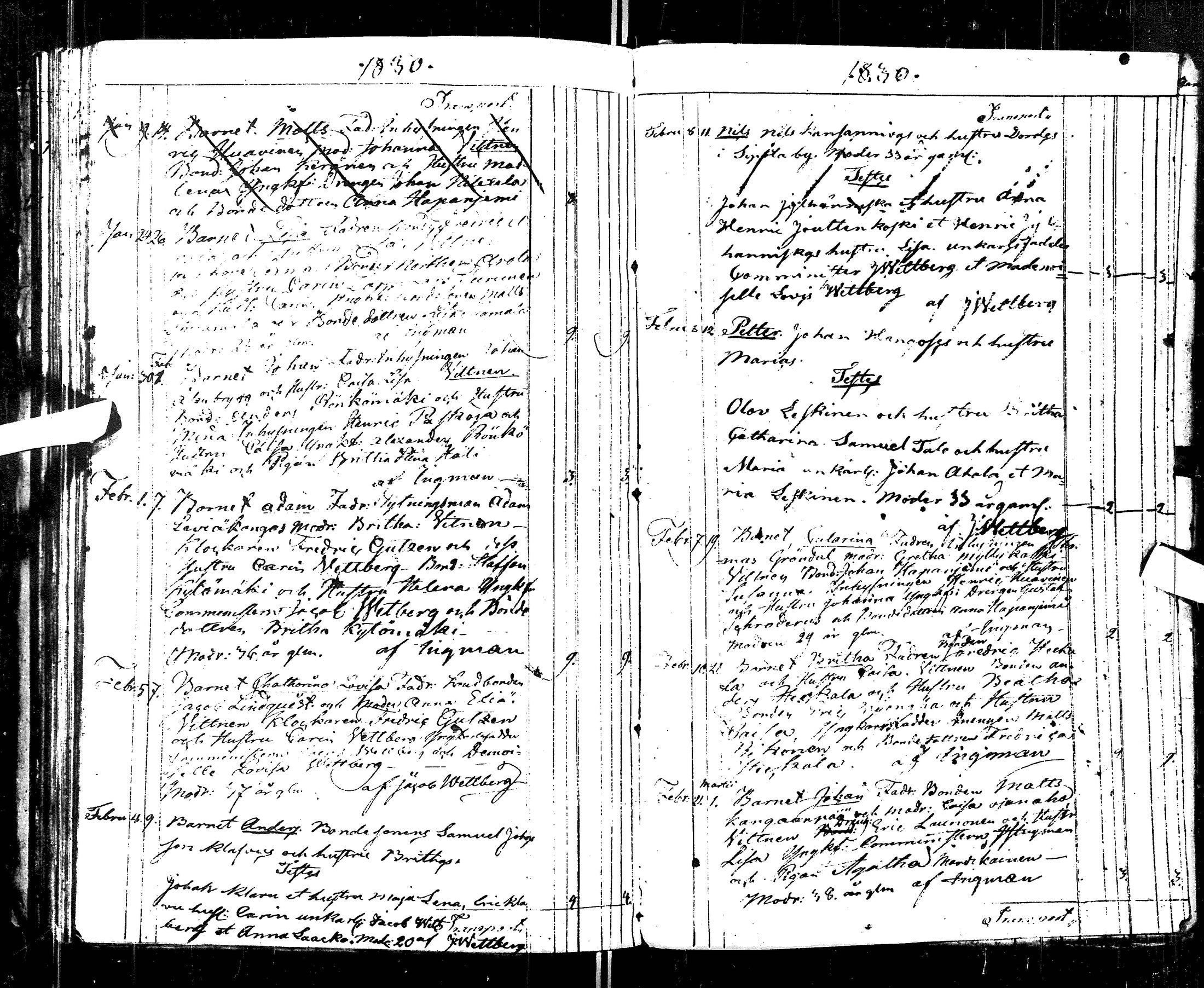 [ kuvat/190.jpg ]