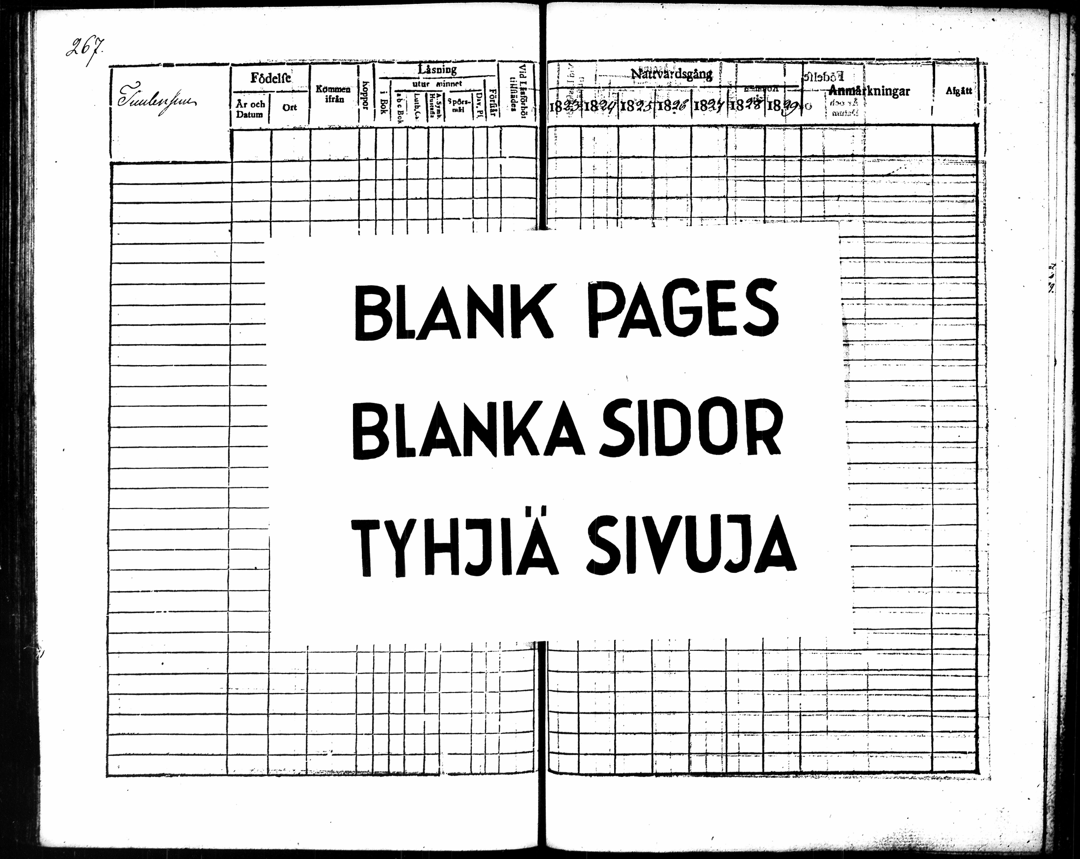 [ kuvat/278.jpg ]