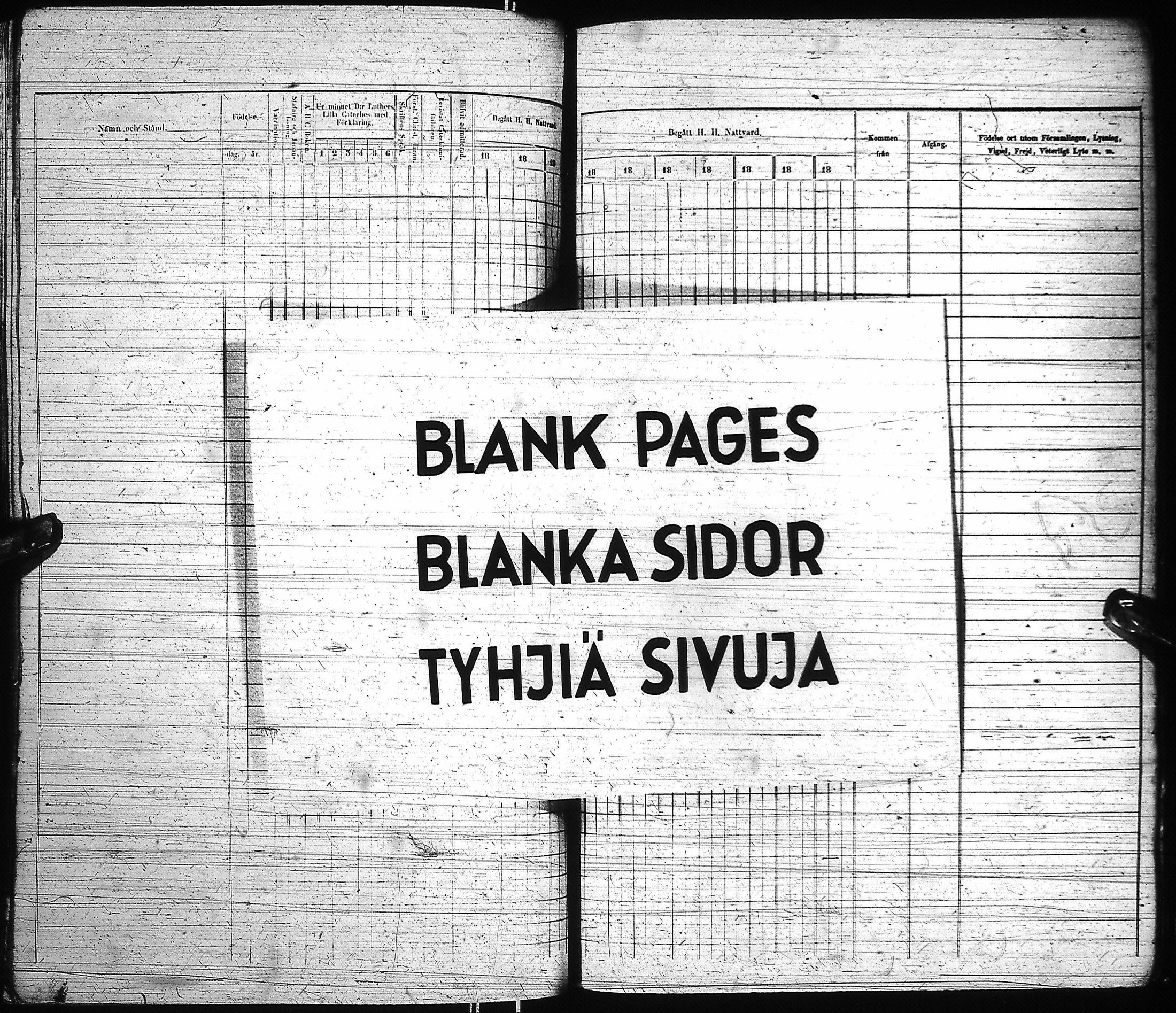 [ kuvat/531.jpg ]