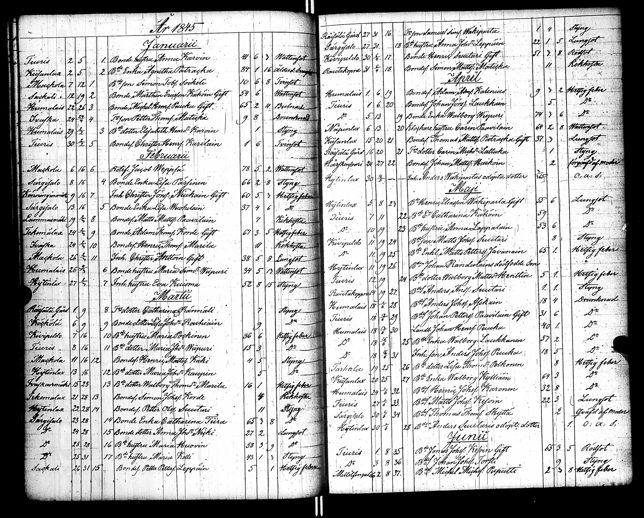 [ kuvat/217.jpg ]