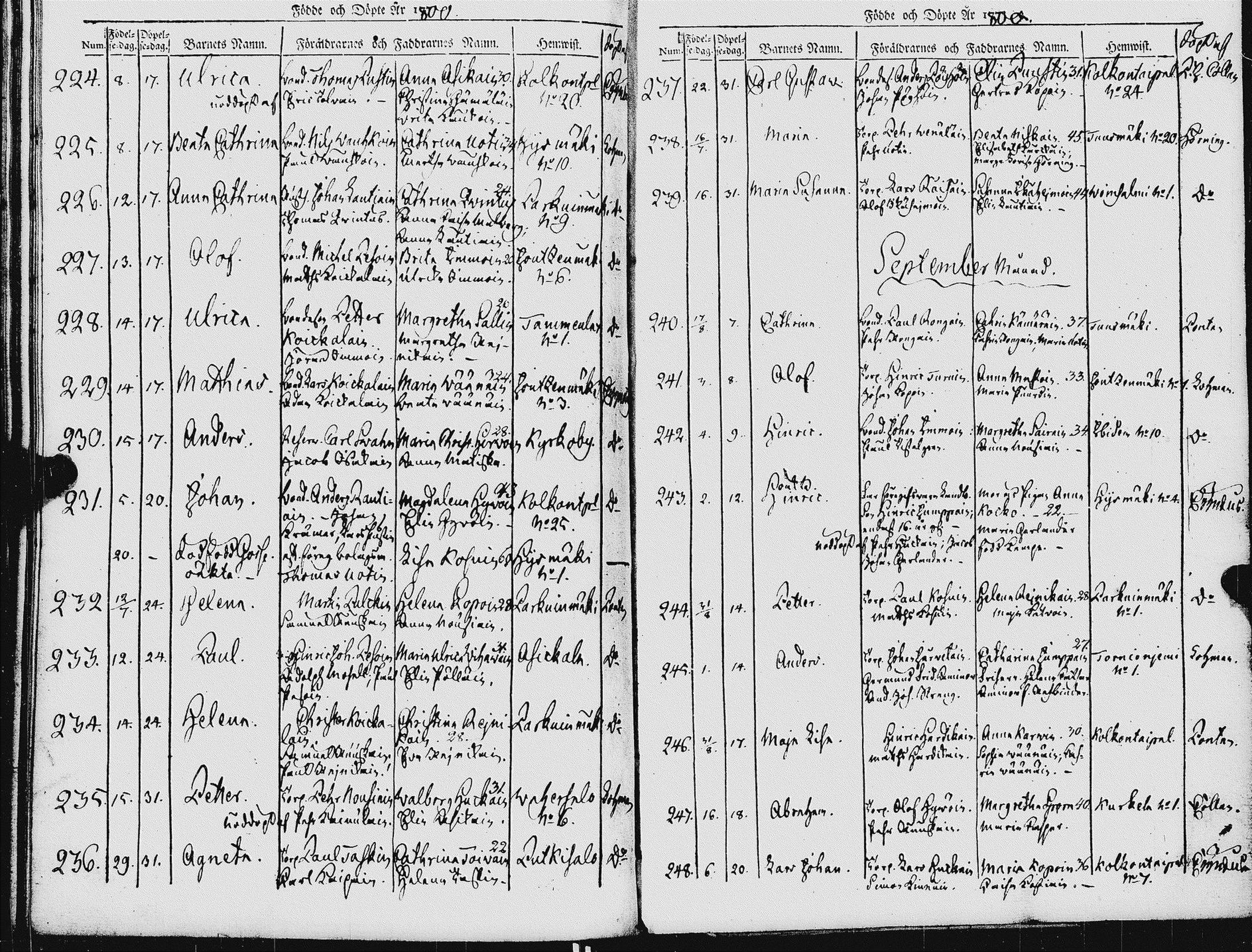 [ kuvat/295.jpg ]