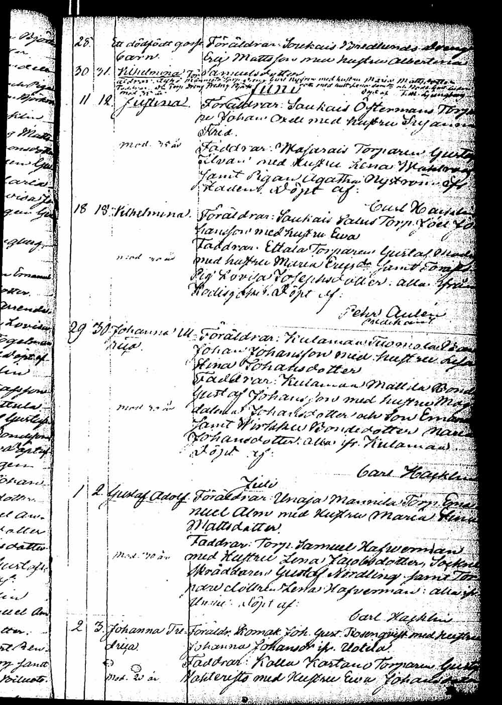 [ kuvat/125.jpg ]