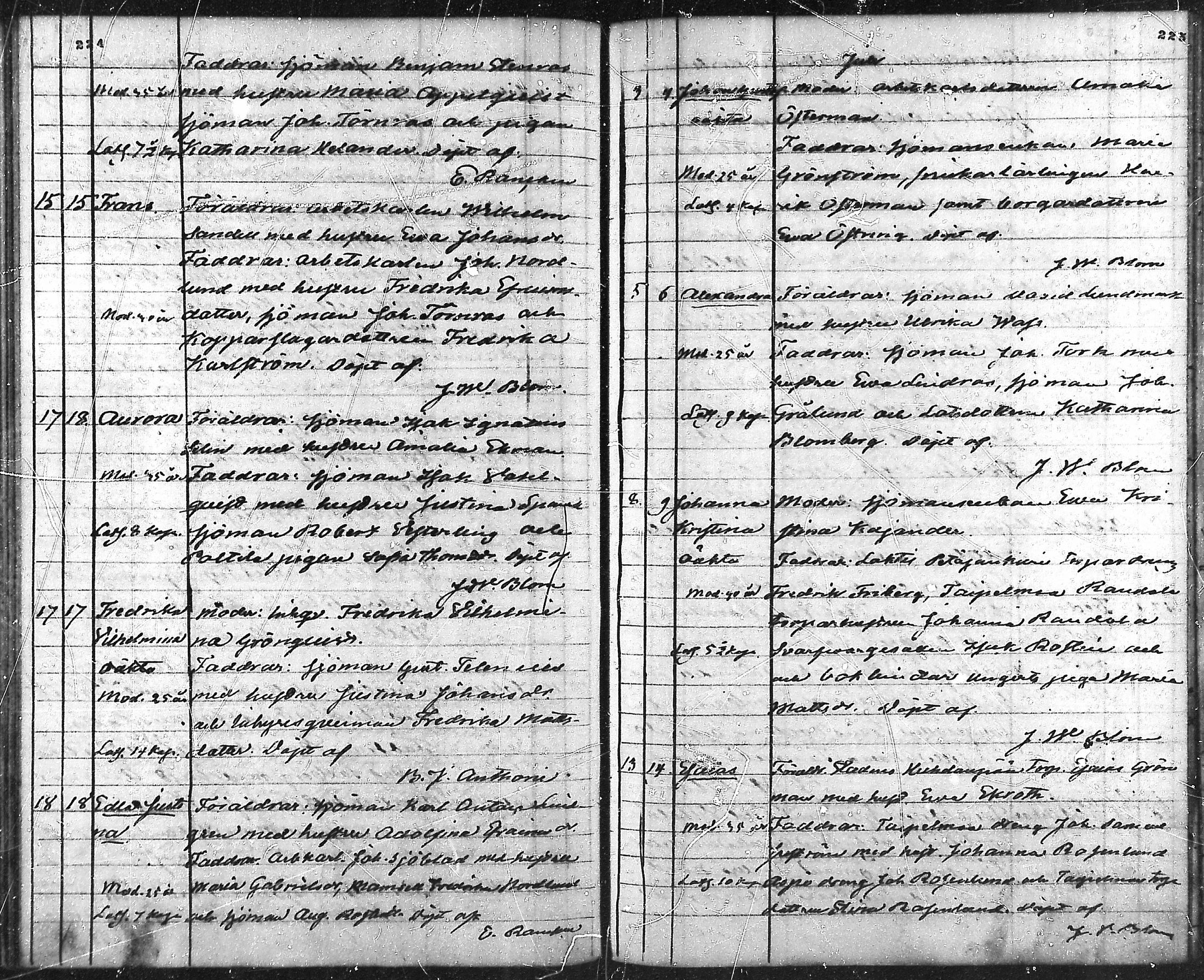 [ kuvat/113.jpg ]