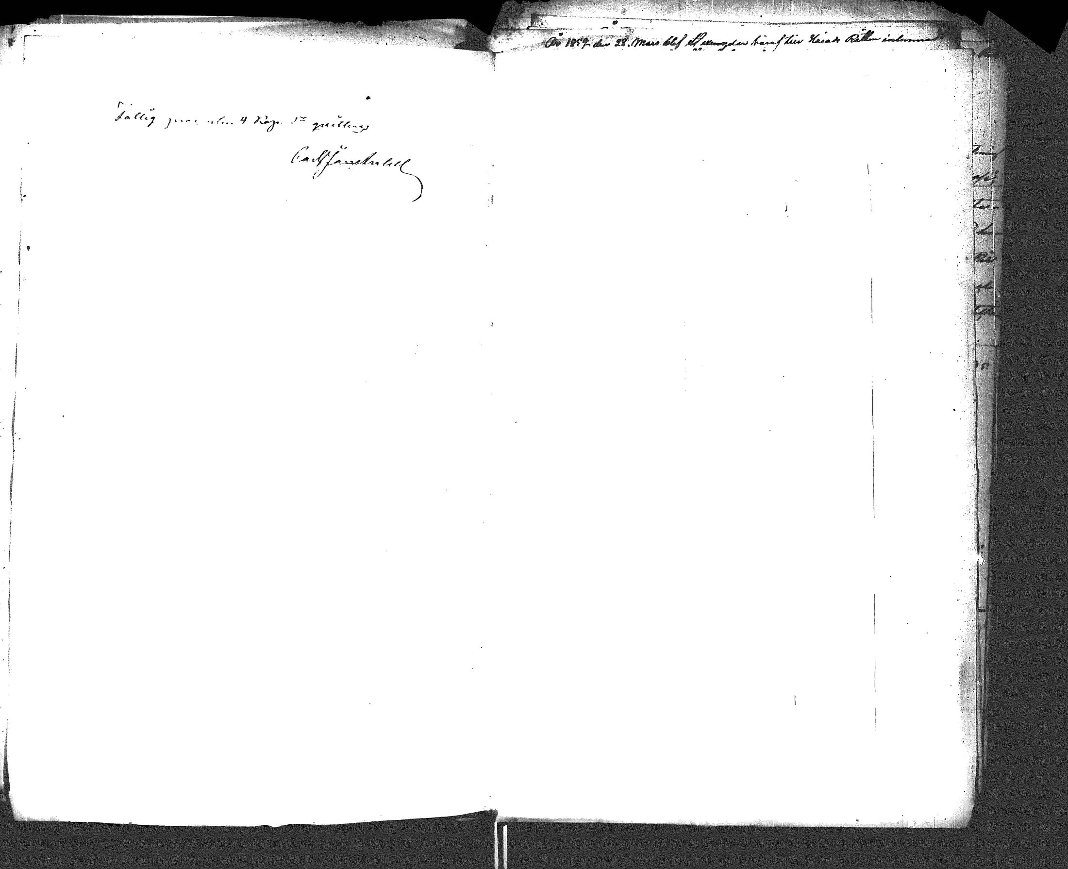 [ kuvat/335.jpg ]