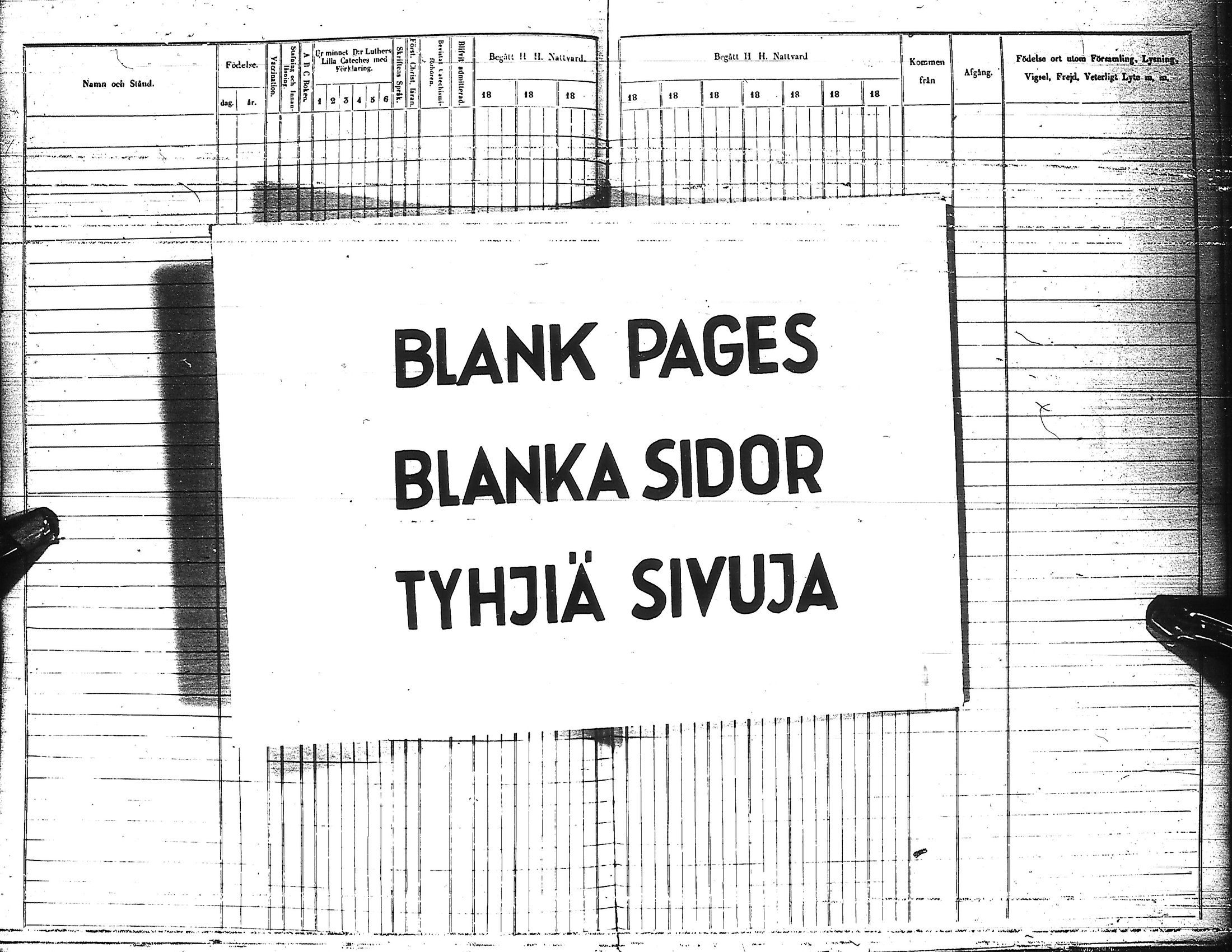 [ kuvat/297.jpg ]
