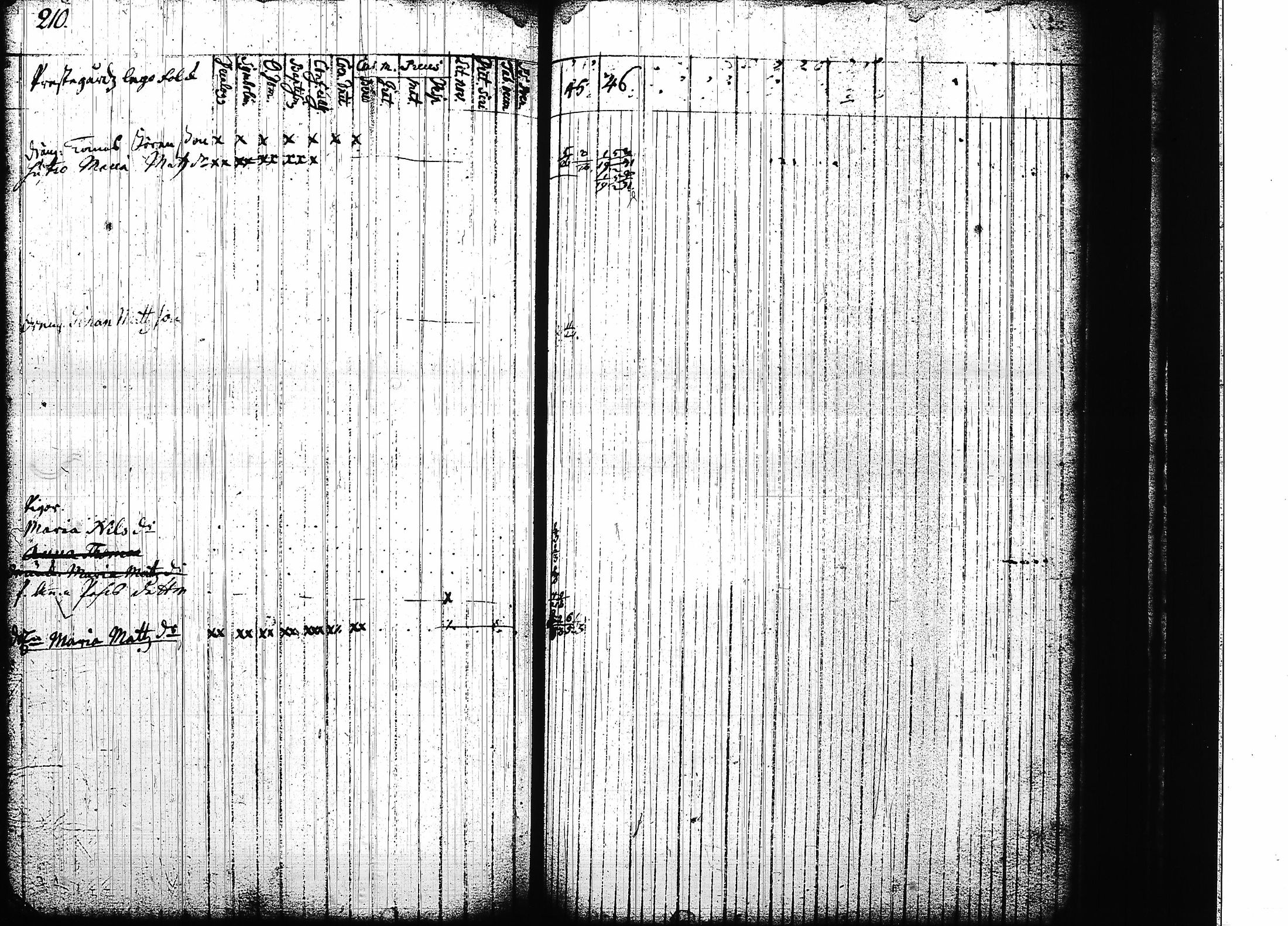 [ kuvat/207.jpg ]