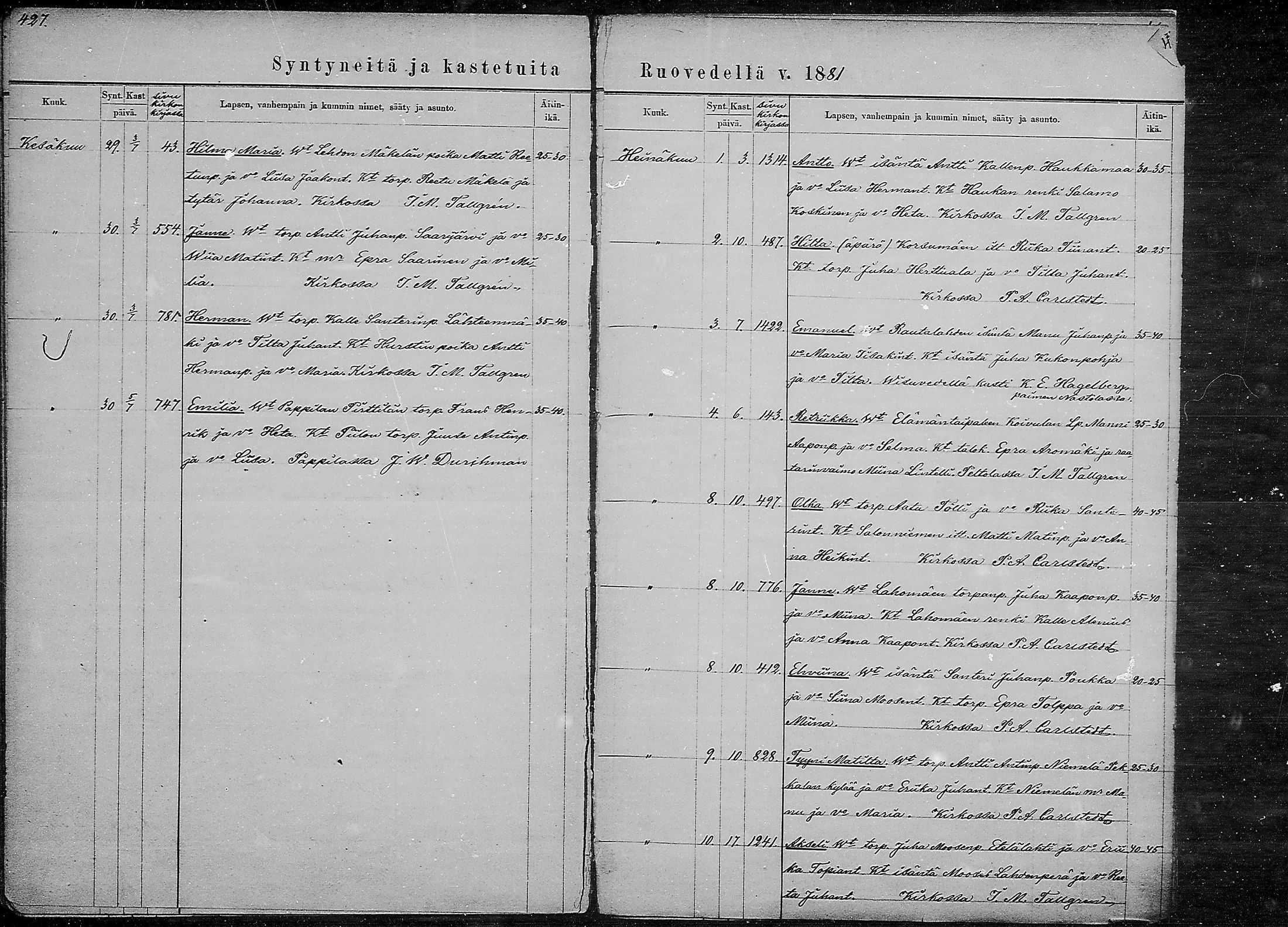[ kuvat/216.jpg ]