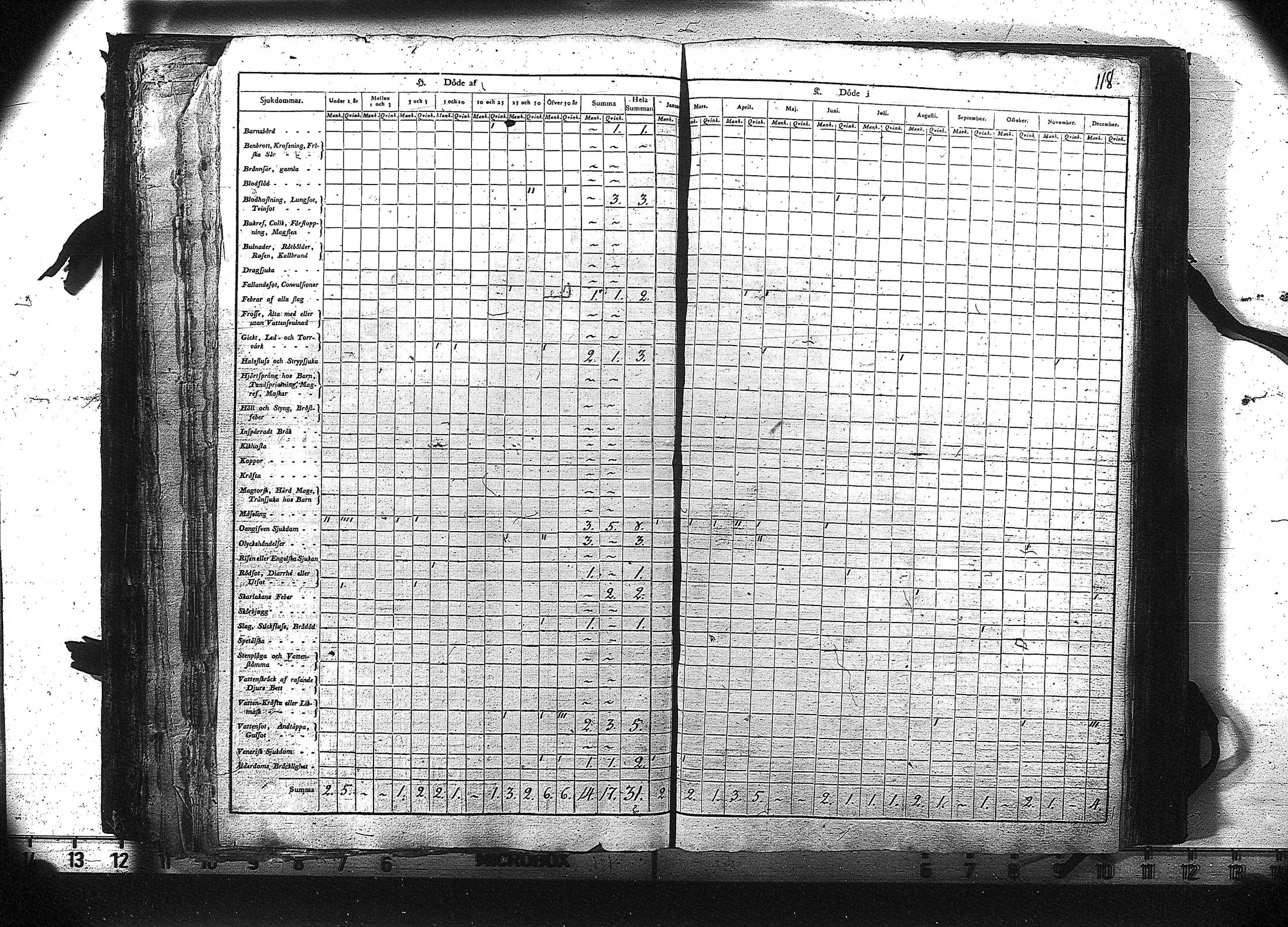 [ kuvat/119.jpg ]