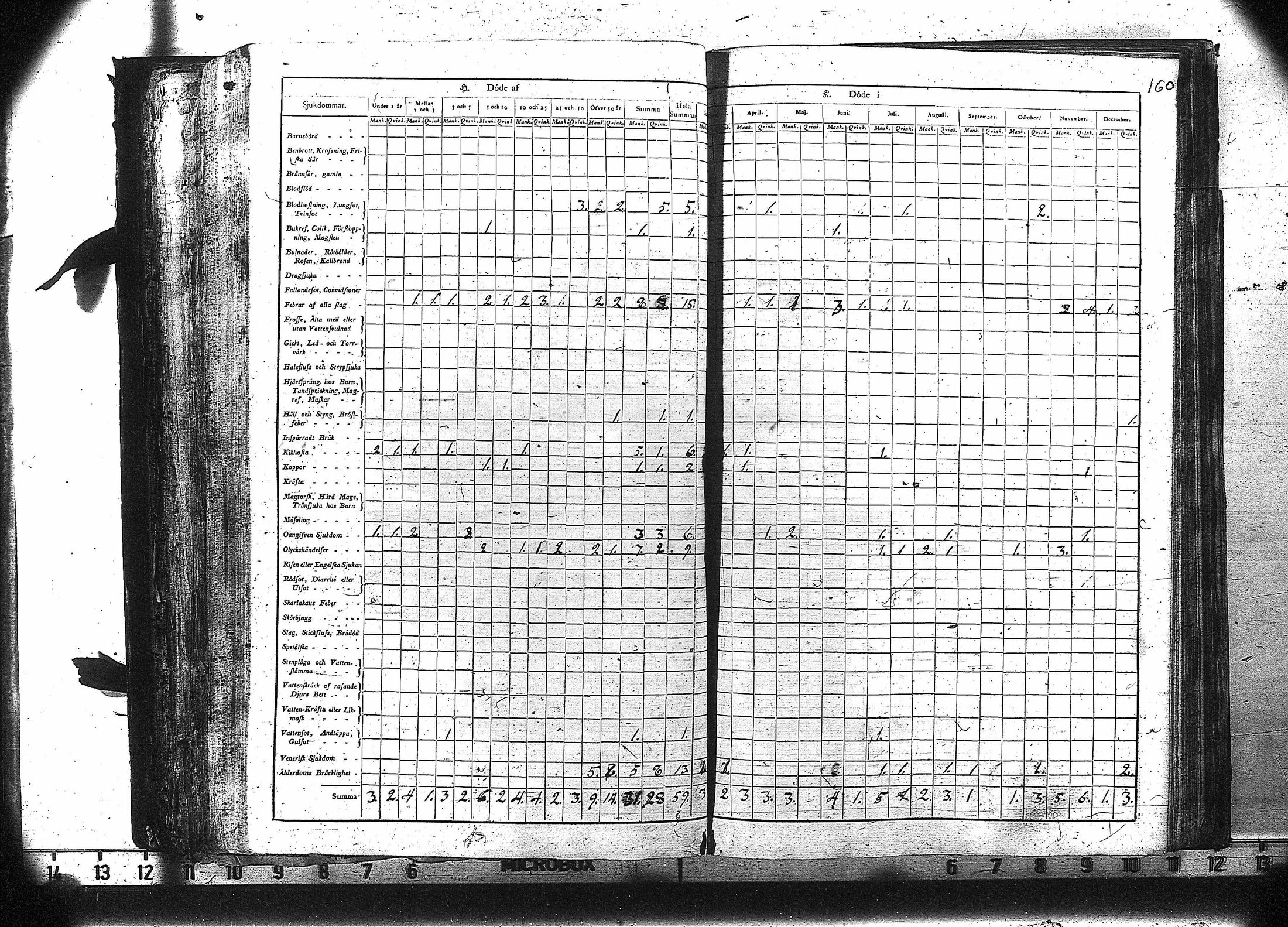 [ kuvat/161.jpg ]