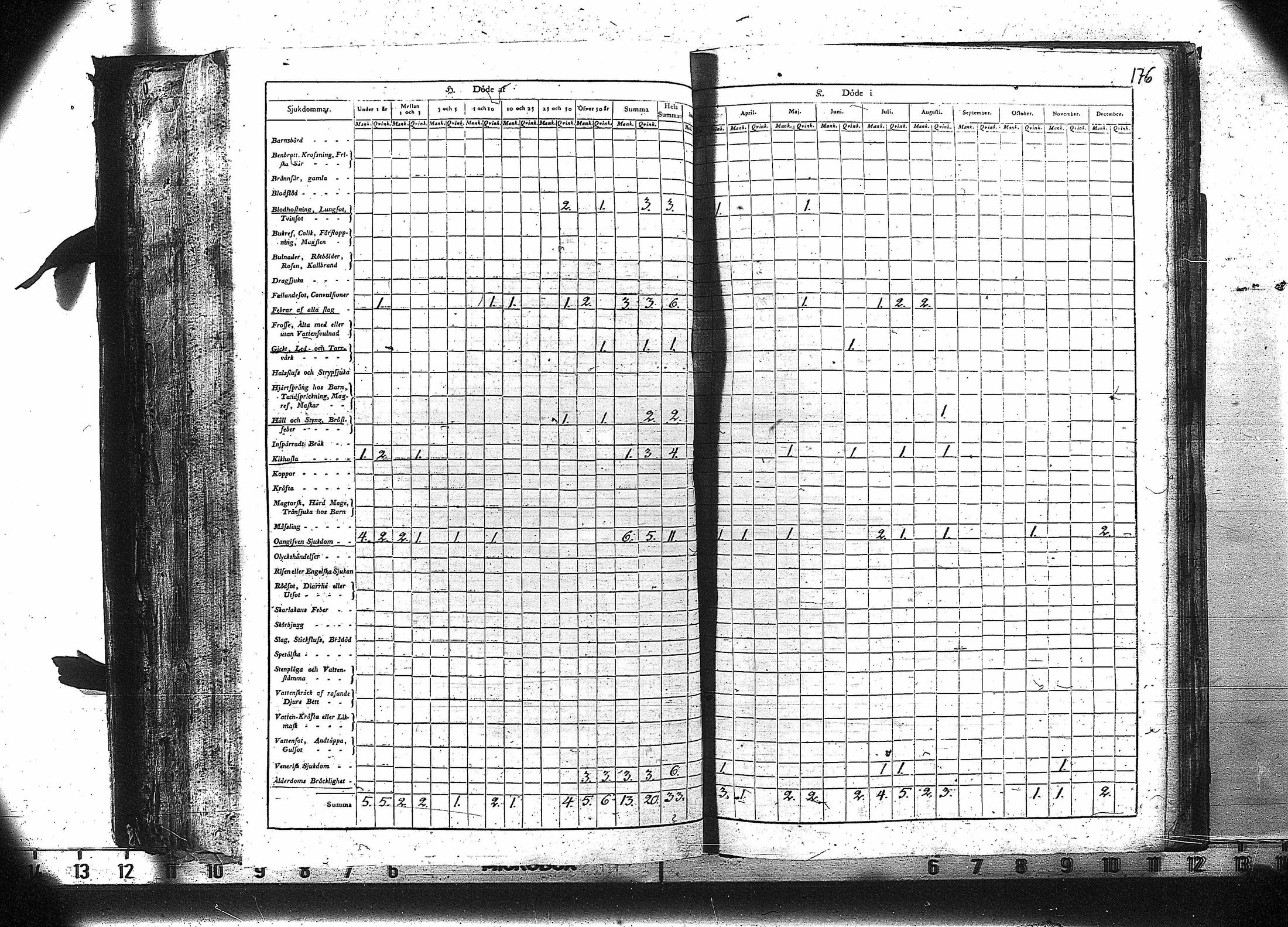 [ kuvat/177.jpg ]