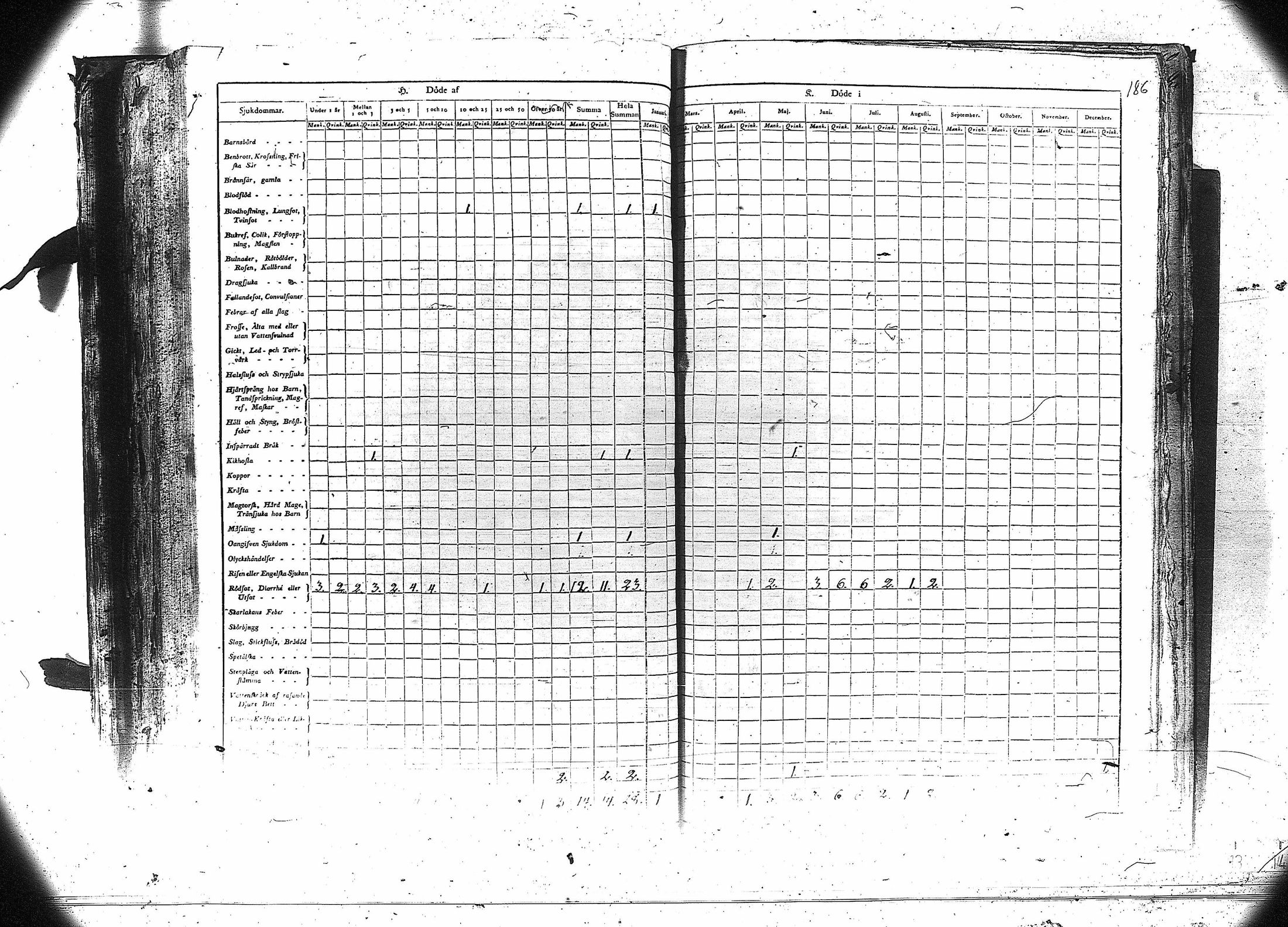 [ kuvat/187.jpg ]