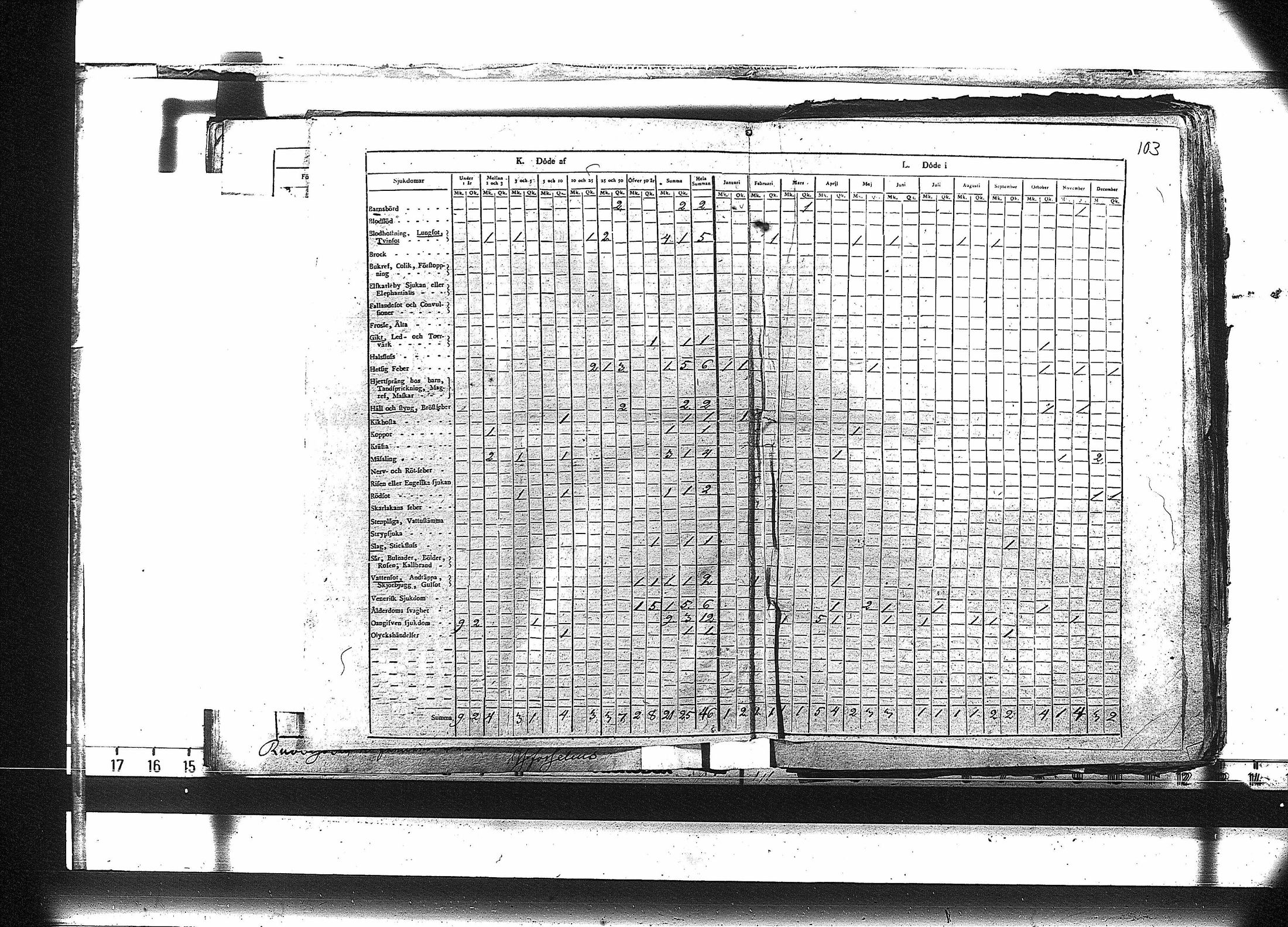 [ kuvat/116.jpg ]