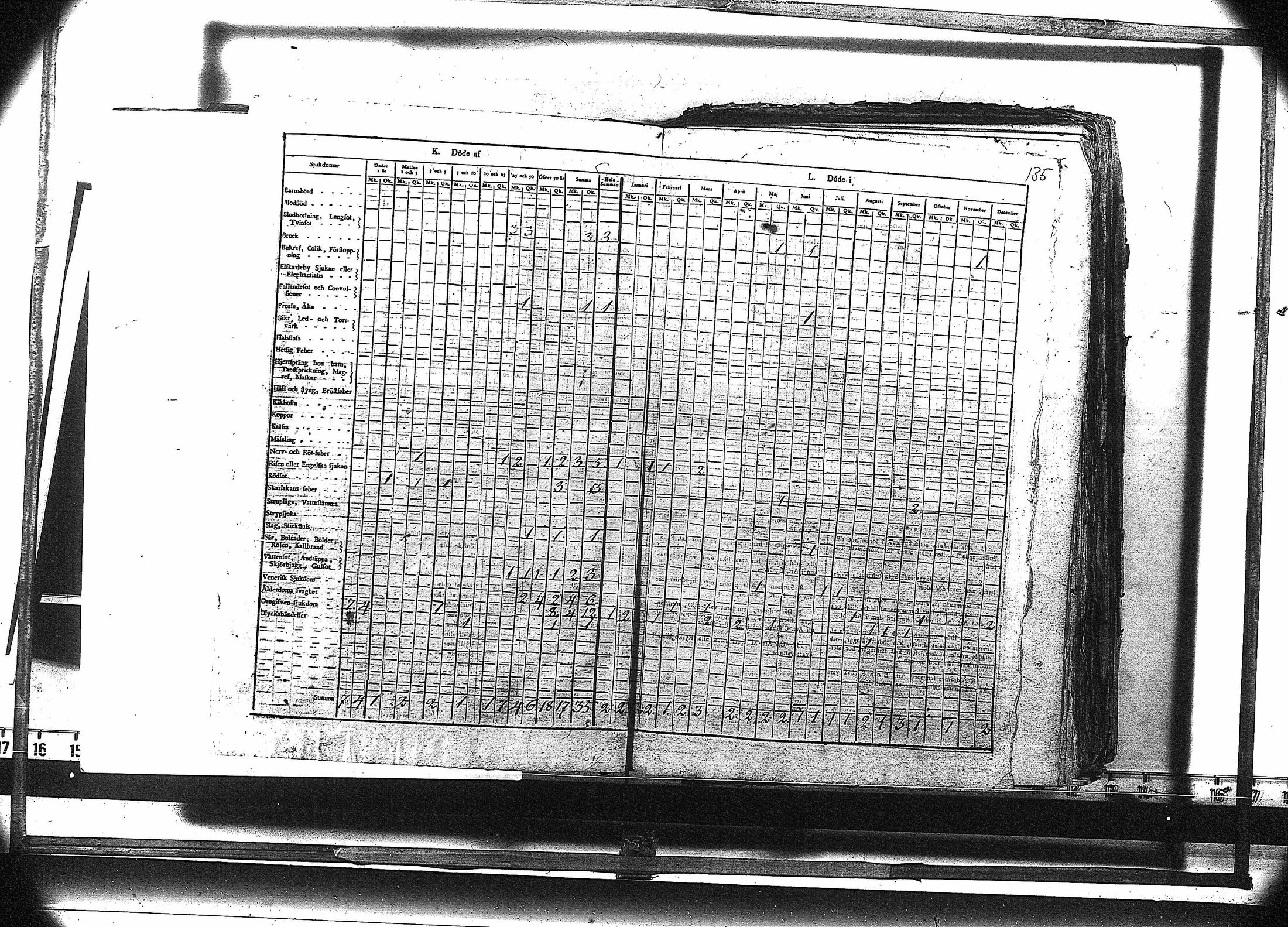 [ kuvat/148.jpg ]