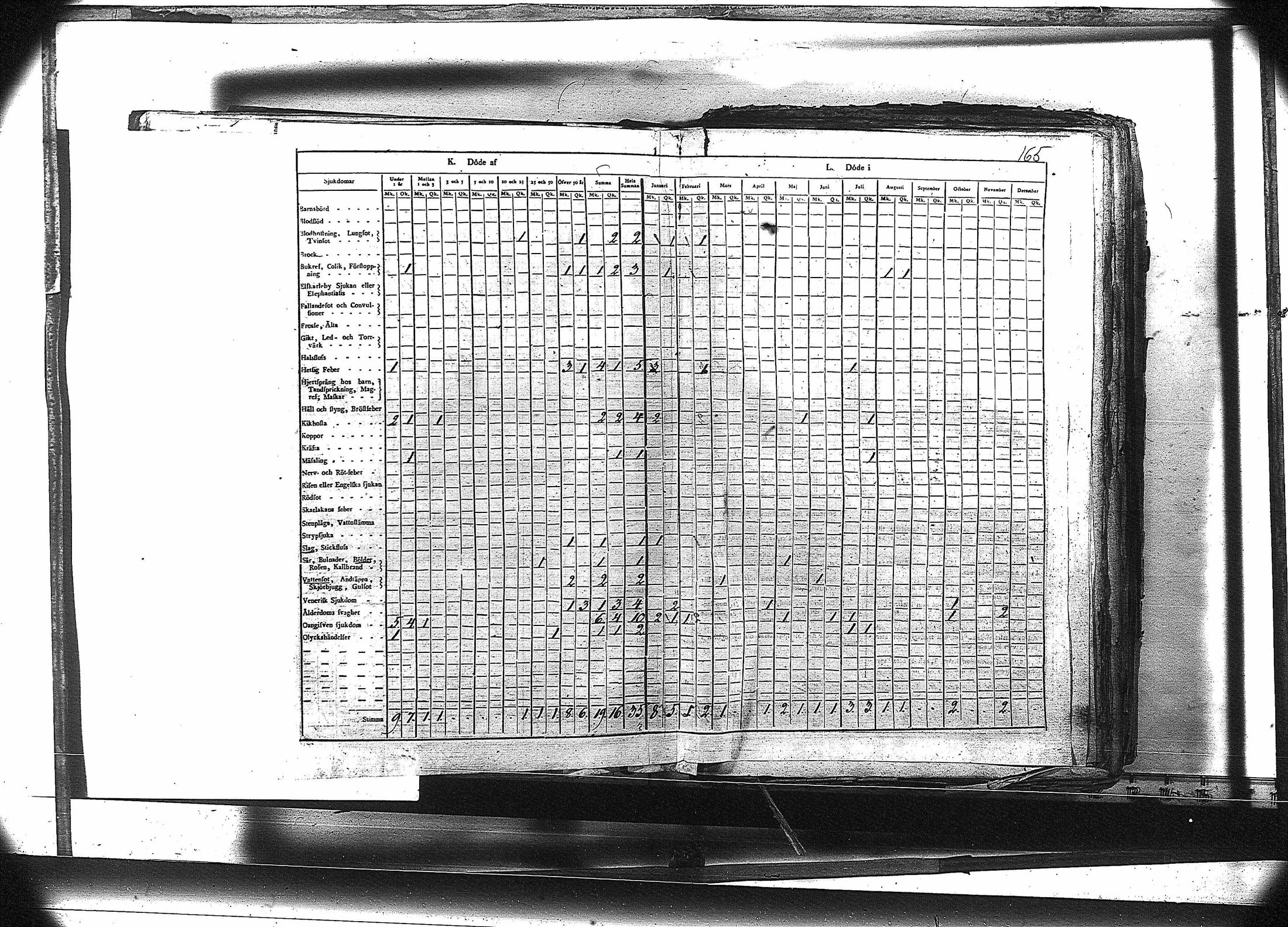 [ kuvat/178.jpg ]
