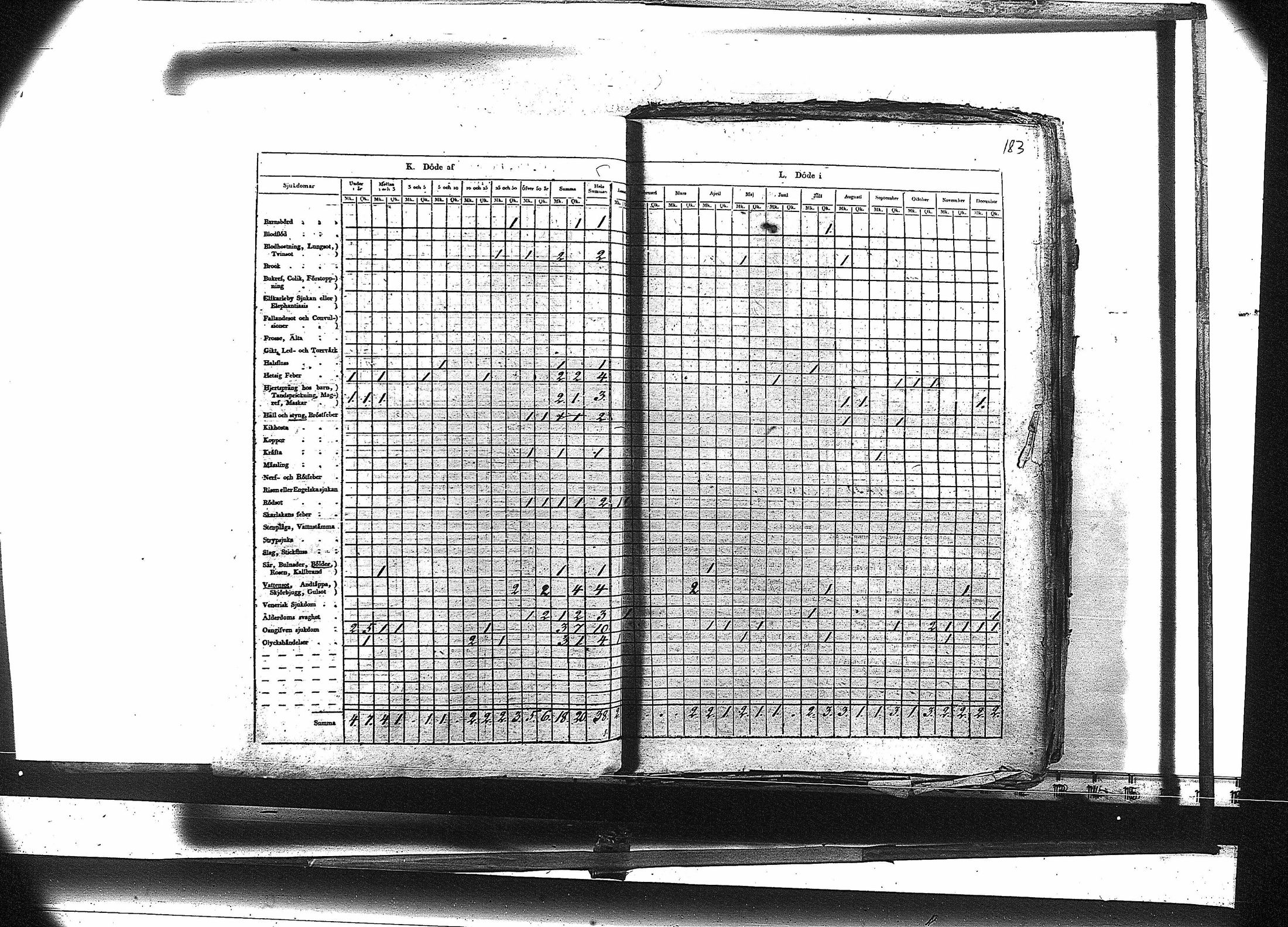 [ kuvat/196.jpg ]