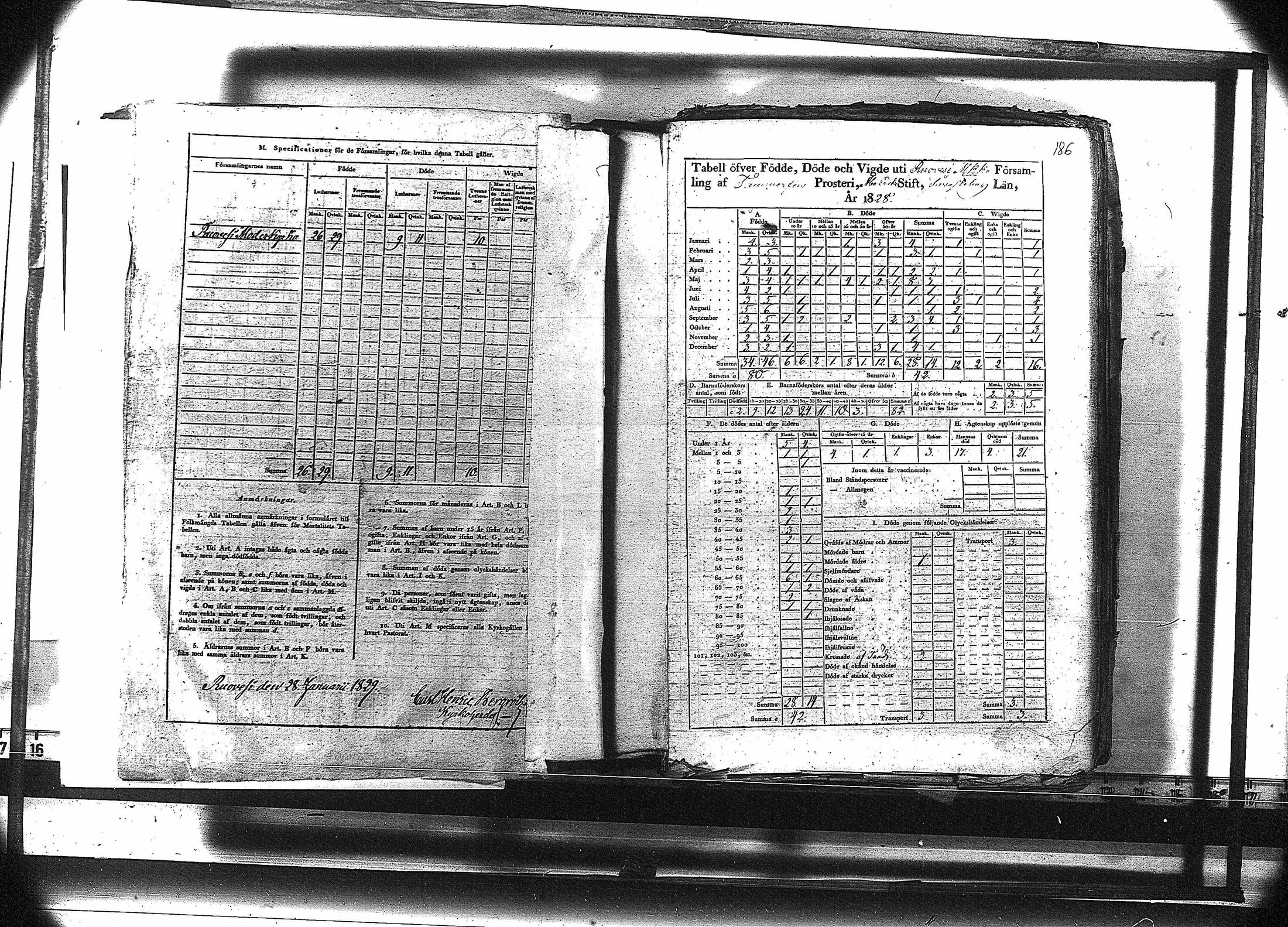 [ kuvat/199.jpg ]