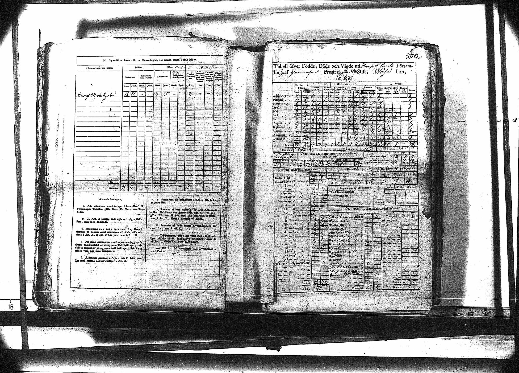 [ kuvat/215.jpg ]