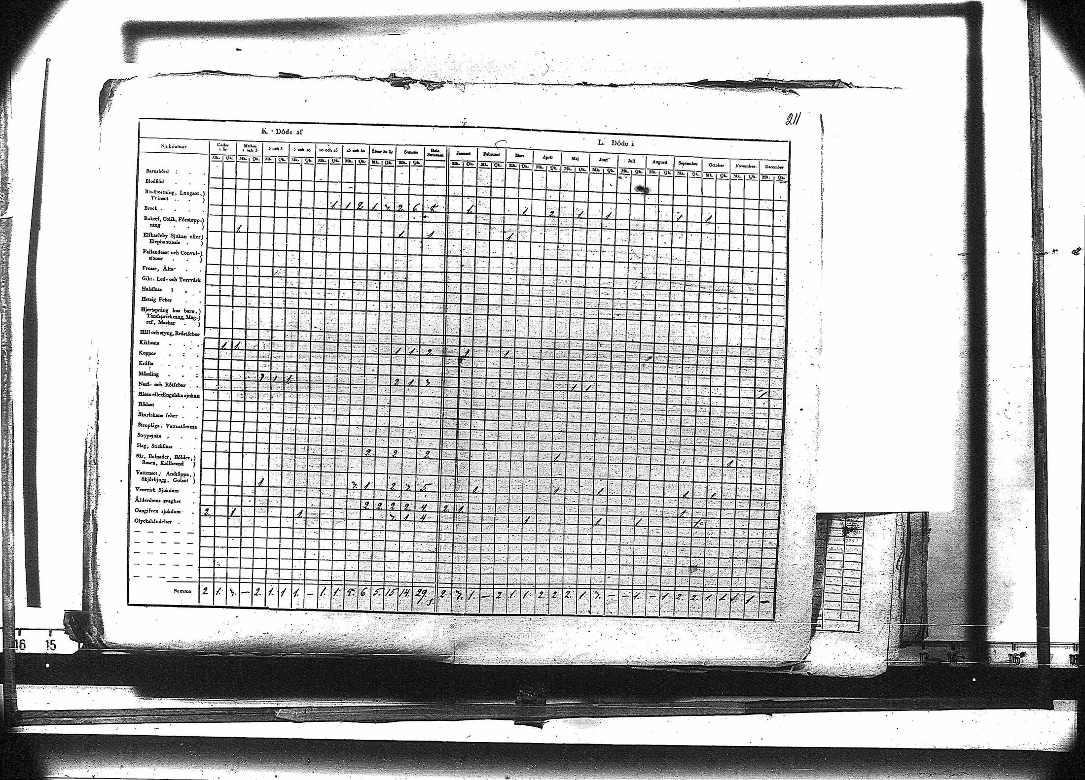 [ kuvat/224.jpg ]