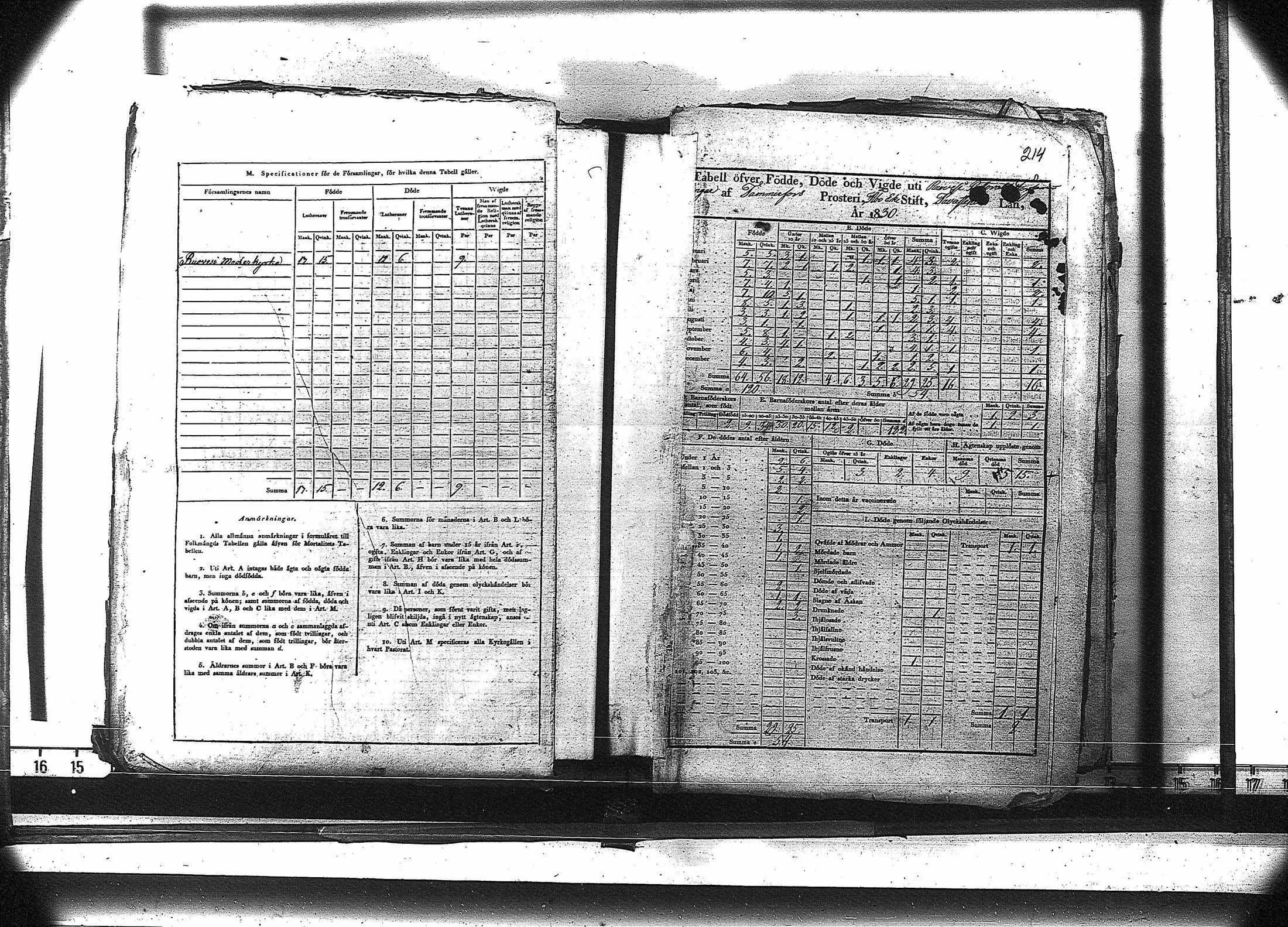 [ kuvat/227.jpg ]