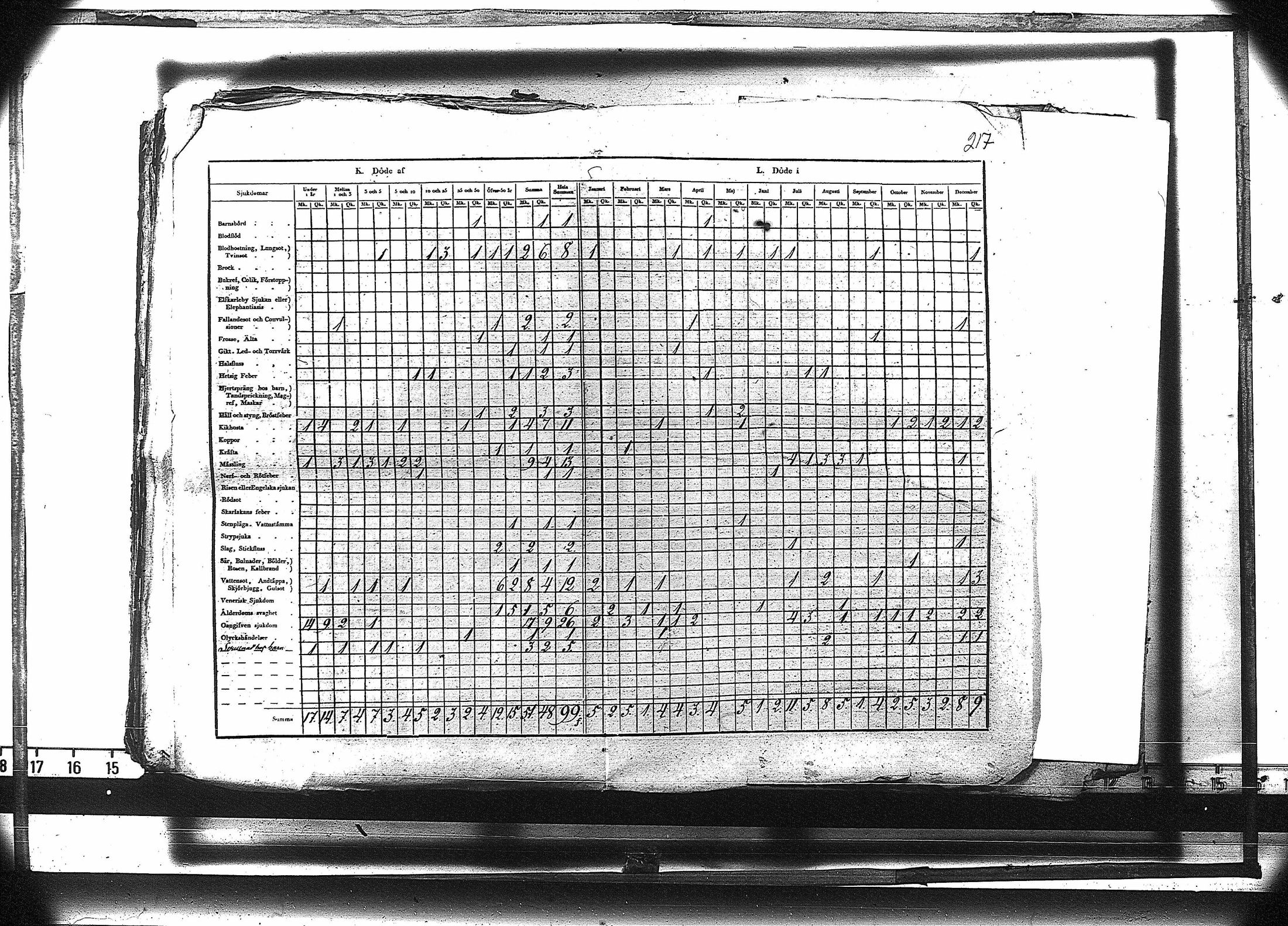[ kuvat/230.jpg ]