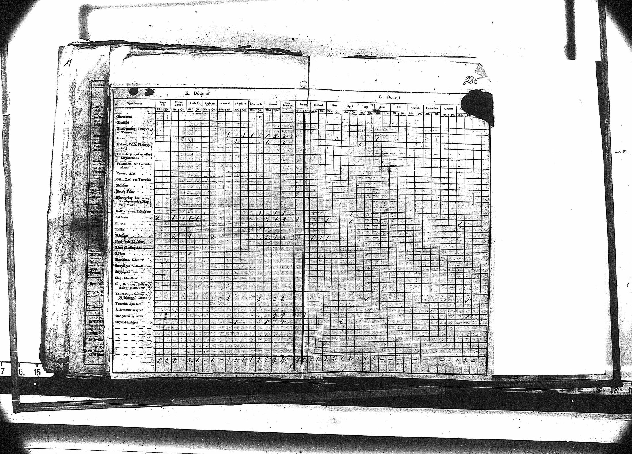 [ kuvat/248.jpg ]