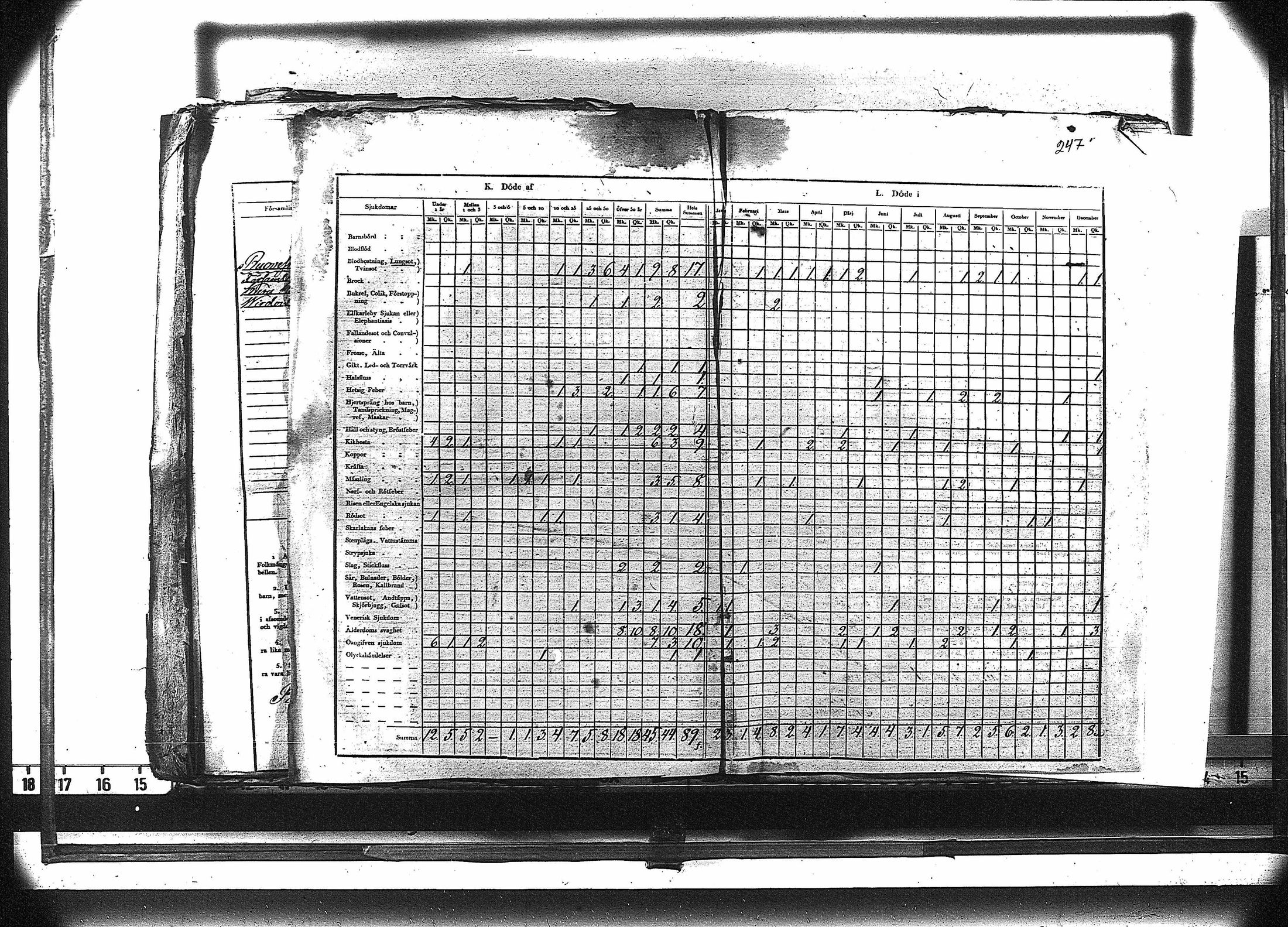 [ kuvat/260.jpg ]
